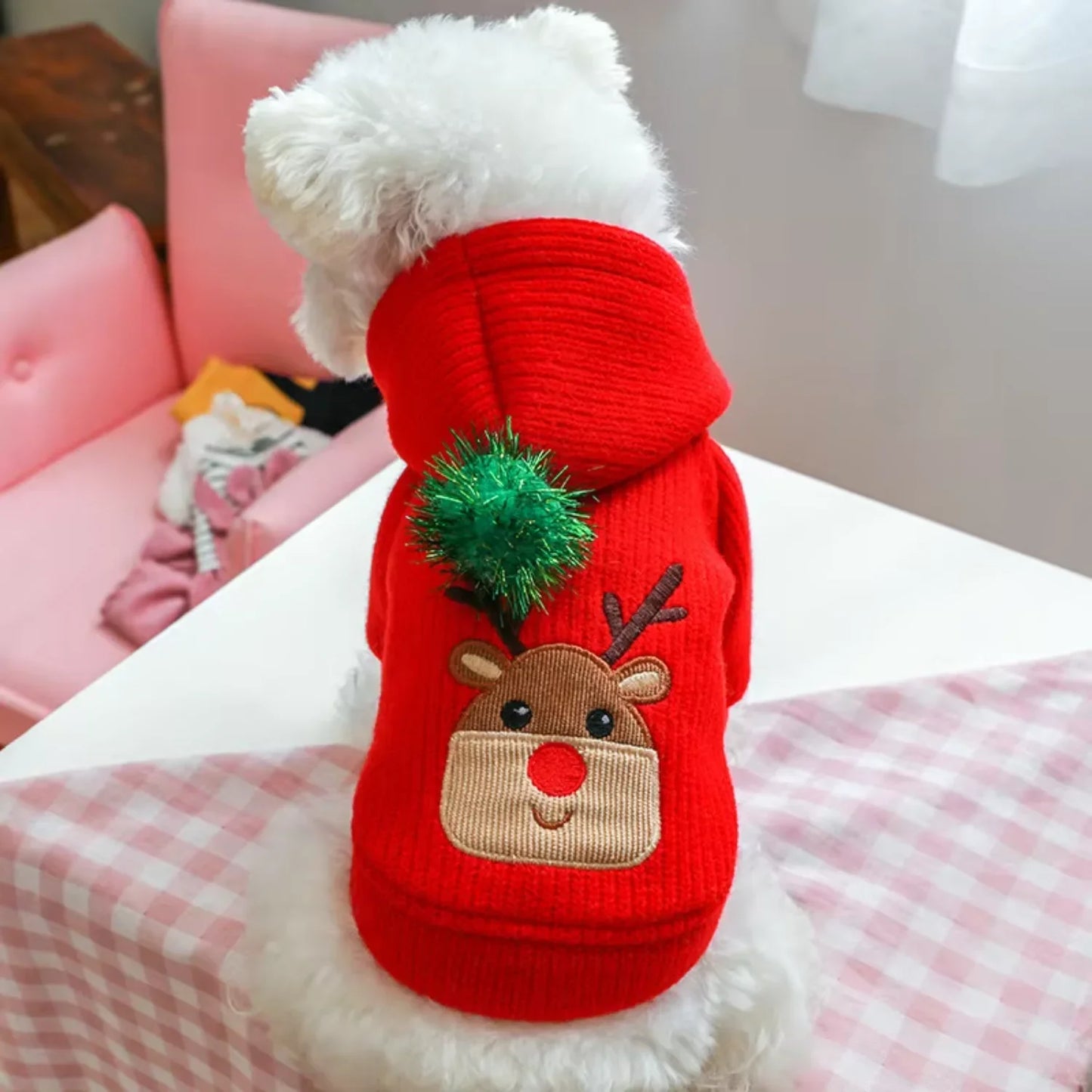 Pet Skirt Dress Winter Christmas Coat For Small Dogs