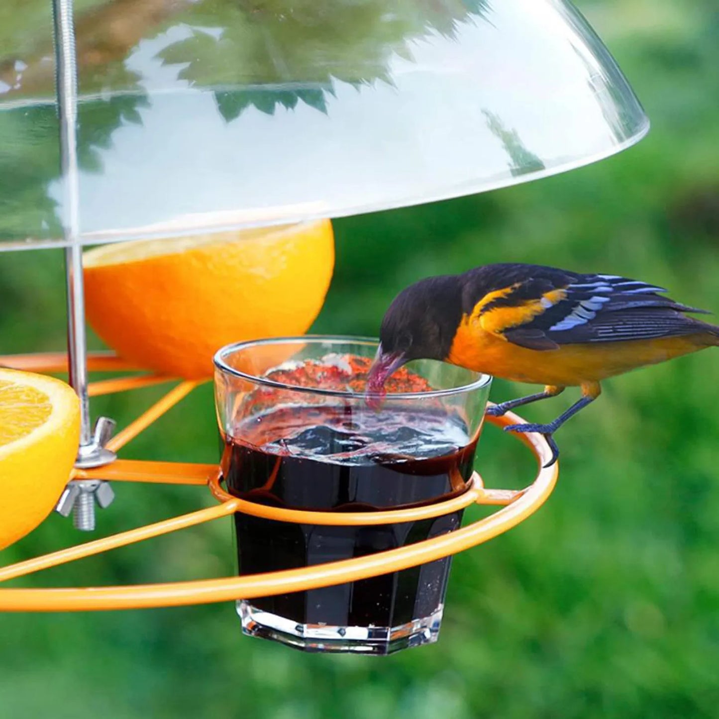 Bird Feeder Clear Protective Cover Dome Anti-squirrel Rain-proof Hanging Hummingbird Rain Cover Guard Baffle With Hooks Home