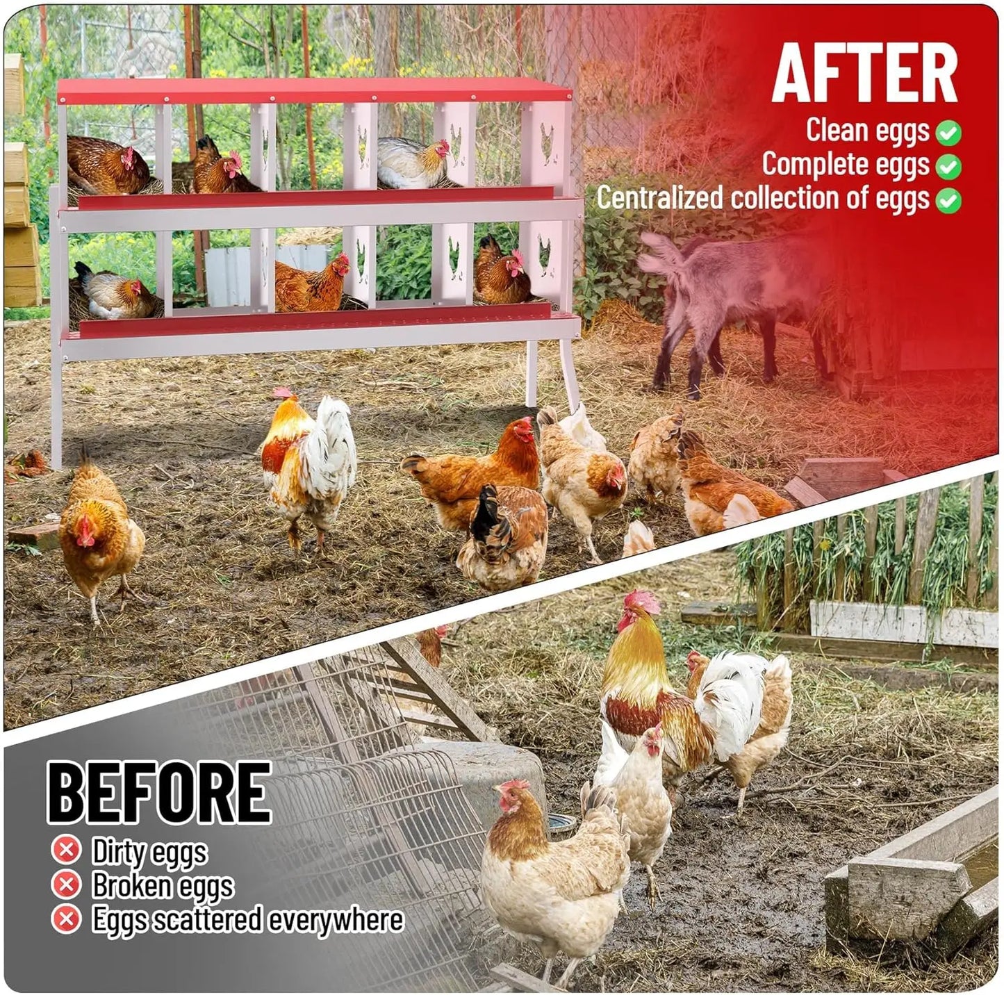 6 8 10 Grids Chicken Nesting Box Roll Away Egg Collection