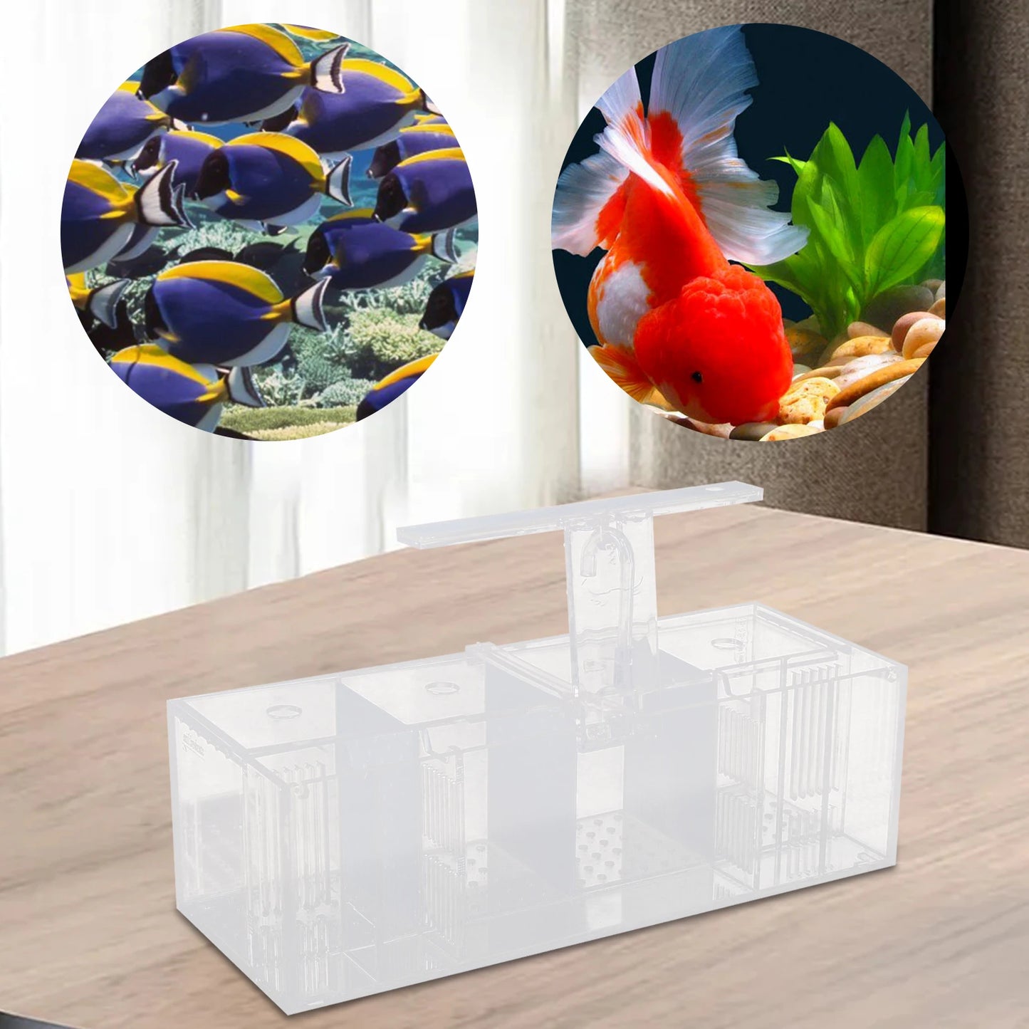 4 Grid Acrylic Fish Tank with LED Light 2.5W Low Power IPX8 Waterproof Tabletop Aquarium for Fighting Fish Shrimp and More