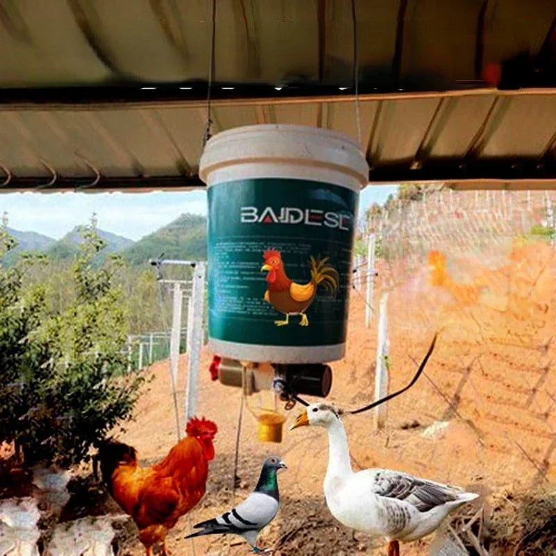 Automatic Chicken Feeder With Timer For Pigeons And Ducks