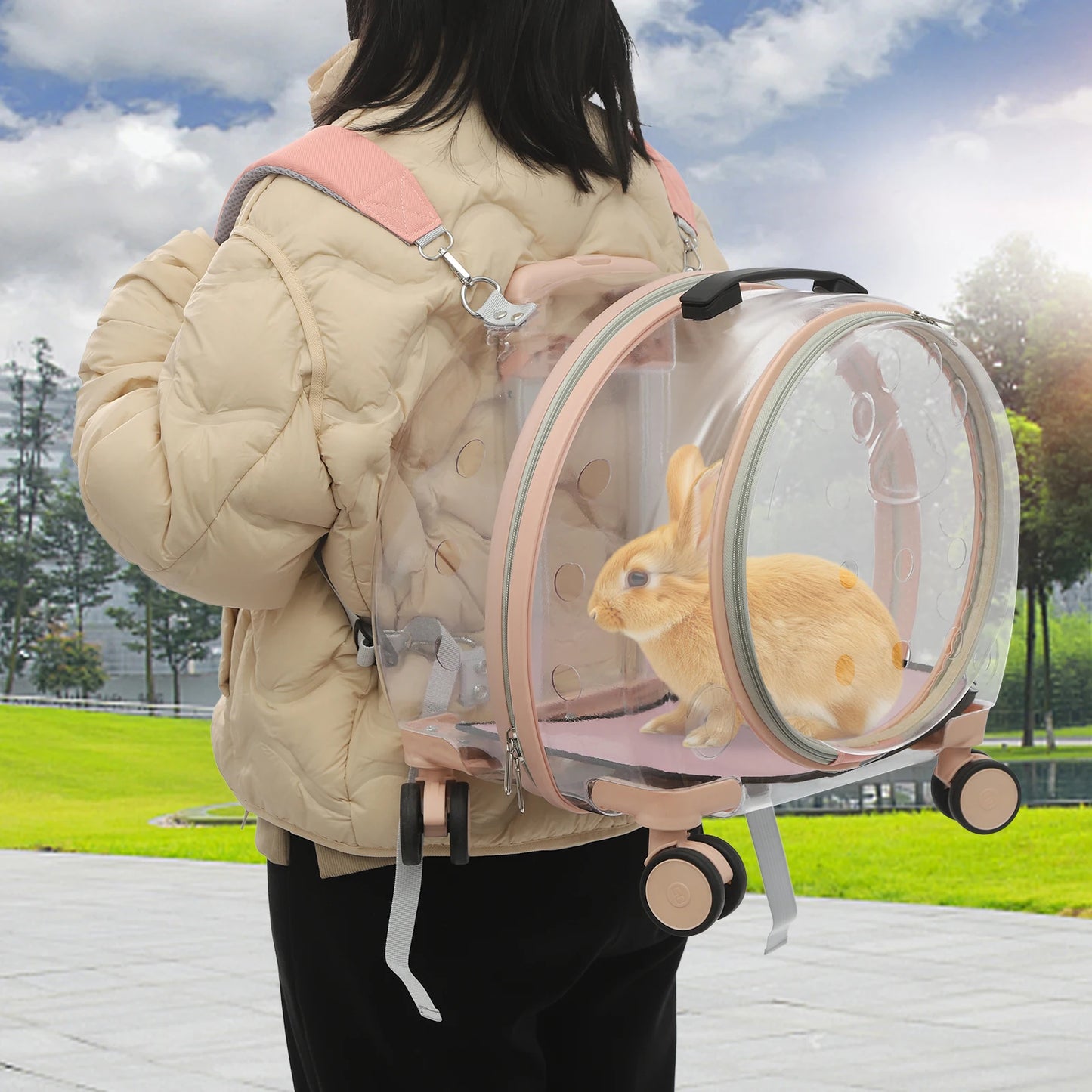 Breathable Waterproof Cat Carrier Rolling Wheels Up To 19 Lbs