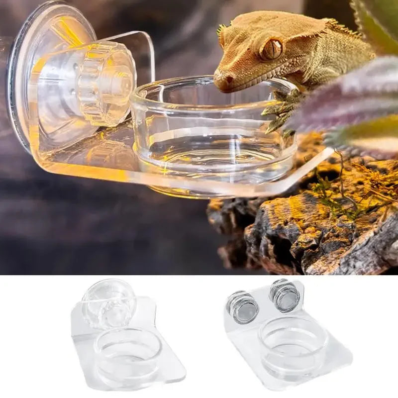 Magnetic Reptile Feeding Ledge Suction Cup Tray Geckos
