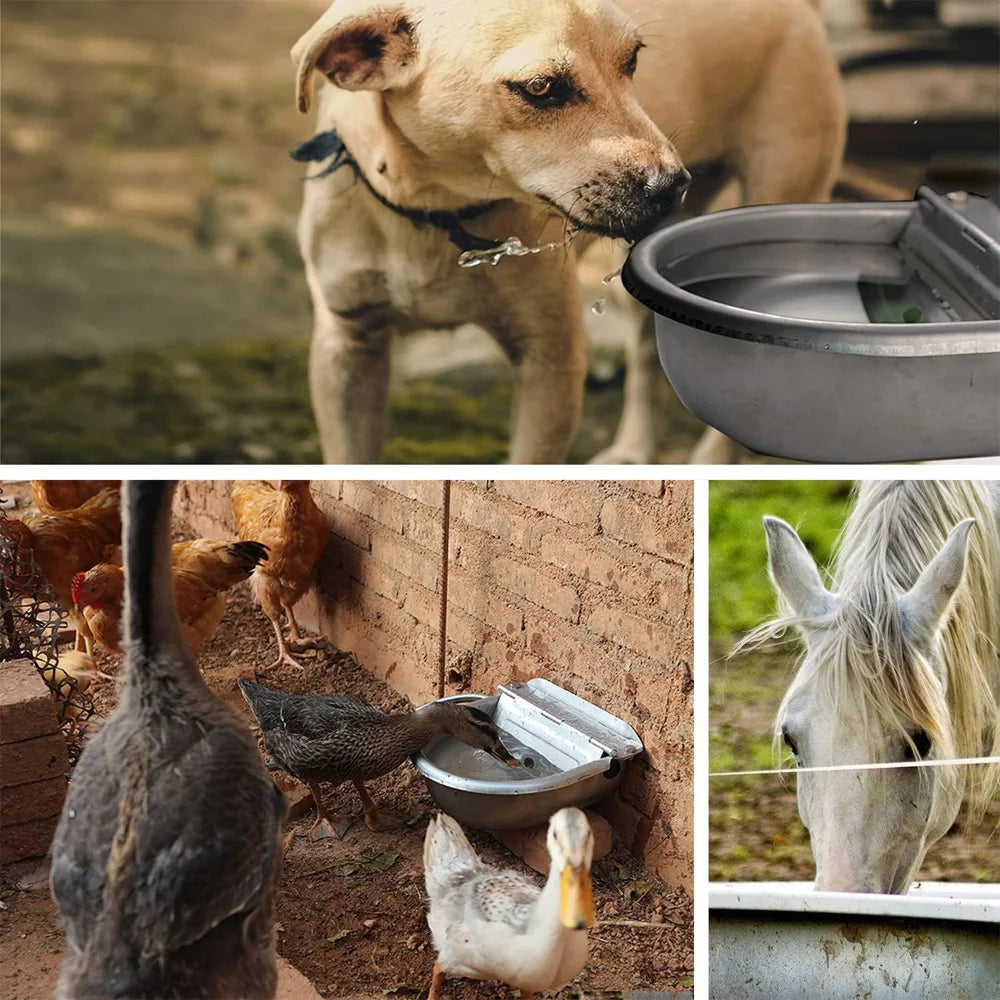 Automatic Water Dispenser for Dogs Stainless Steel Drinking Bowl for Farm Livestock Cattle Horses Goats and Sheep Auto Filling