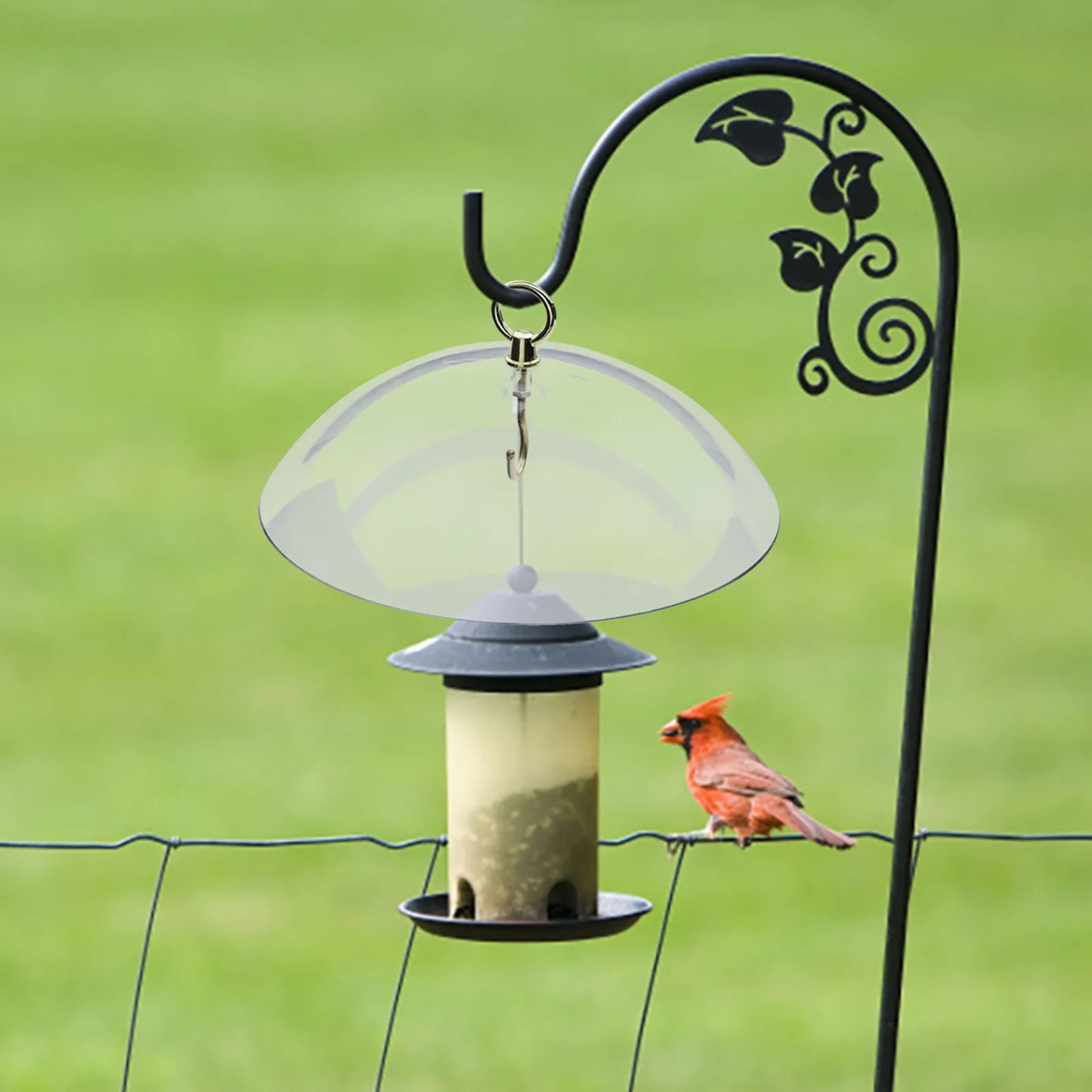 Bird Feeder Clear Protective Cover Dome Anti-squirrel Rain-proof Hanging Hummingbird Rain Cover Guard Baffle With Hooks Home