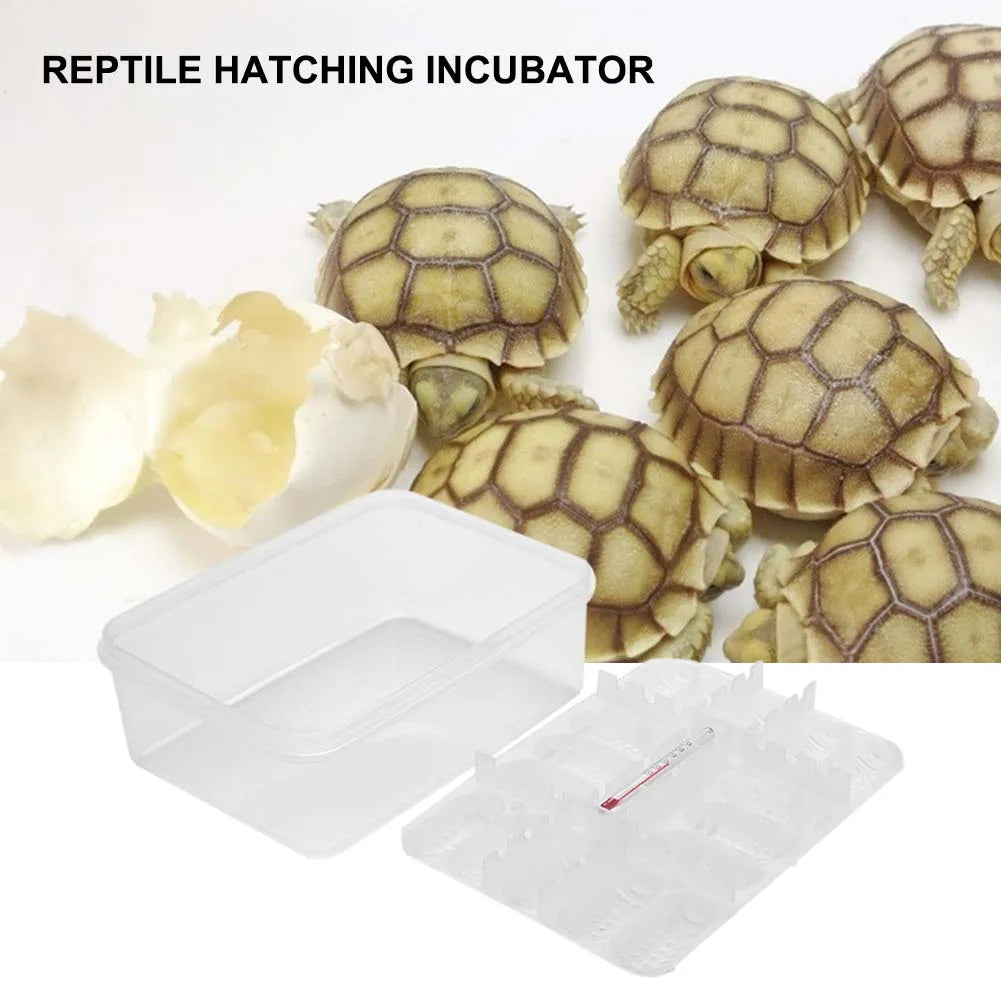 16 Grid Reptile Egg Incubator Tray Hatching Box for Snake Lizard Tortoise Turtle