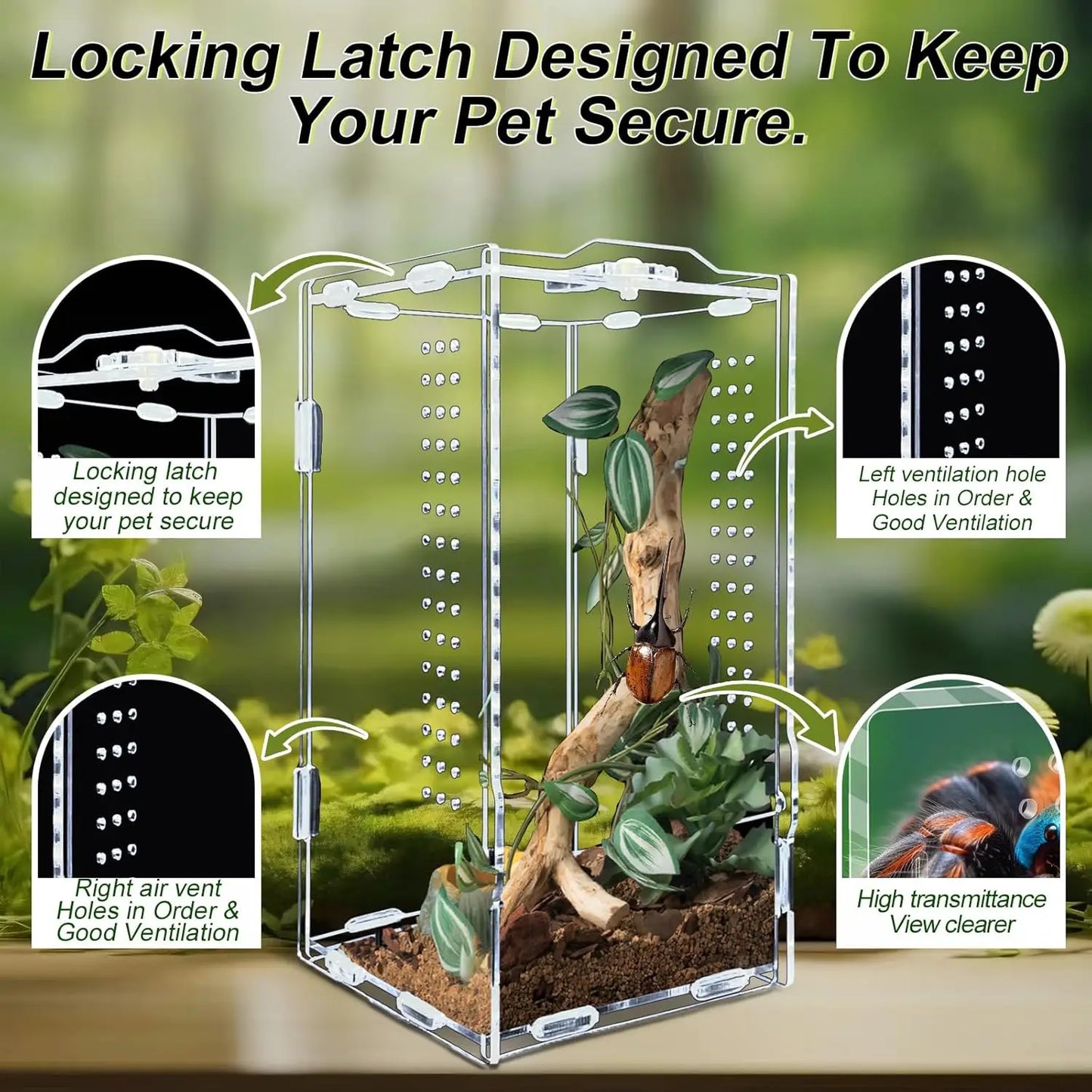 Acrylic Reptile Terrarium Habitat Bearded Dragon Enclosure