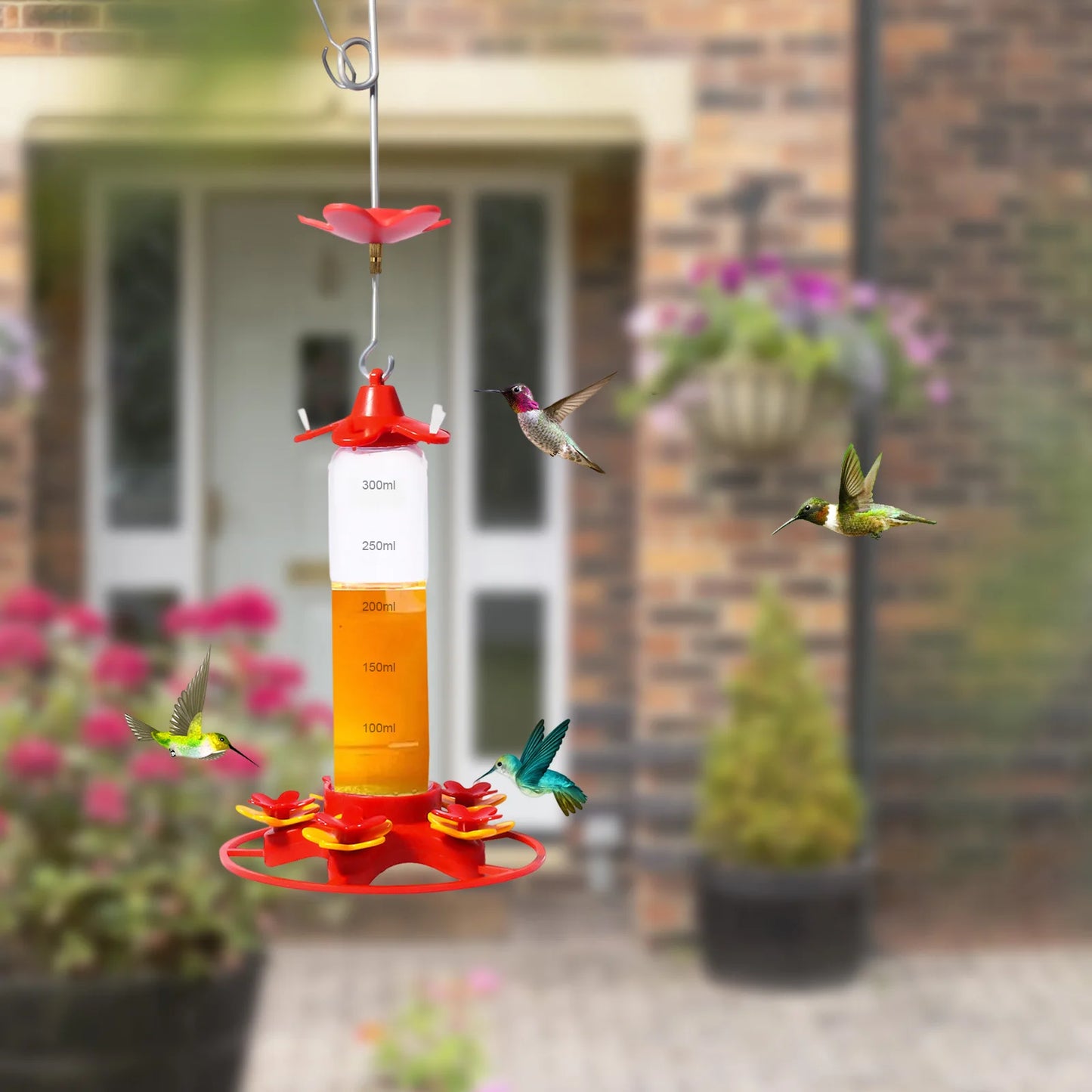 Hummingbird Water Feeders Hanging Garden Hummingbird Drinker
