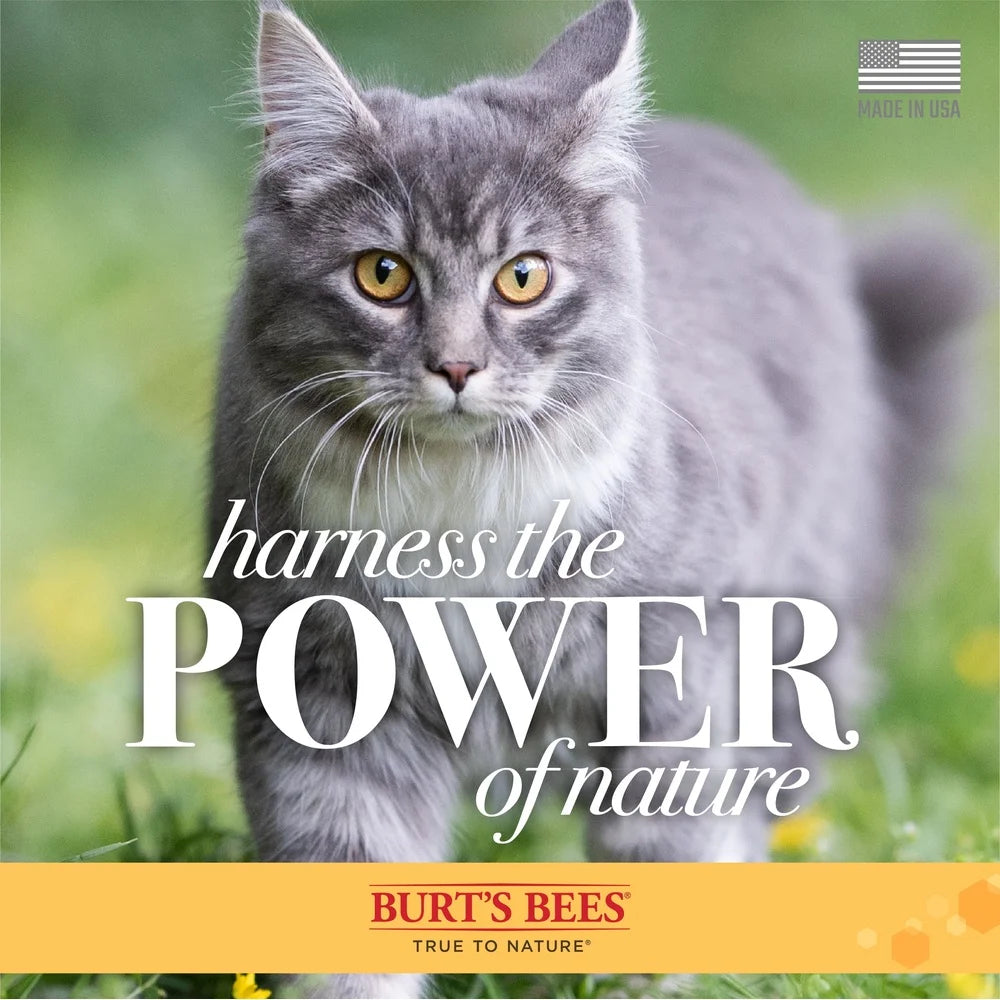 Natural Waterless Dry Shampoo for Cats and Kittens with Shea Butter and Honey Gentle Cleansing Spray 250ml