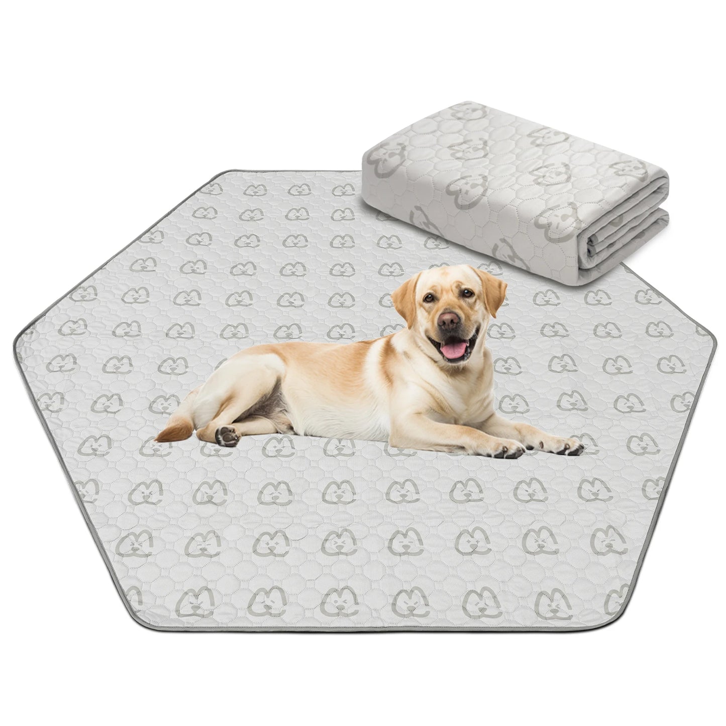 FXW Washable Dog Pee Pads Super Absorbent Puppy Training Pads for Crate Sofa and Bed