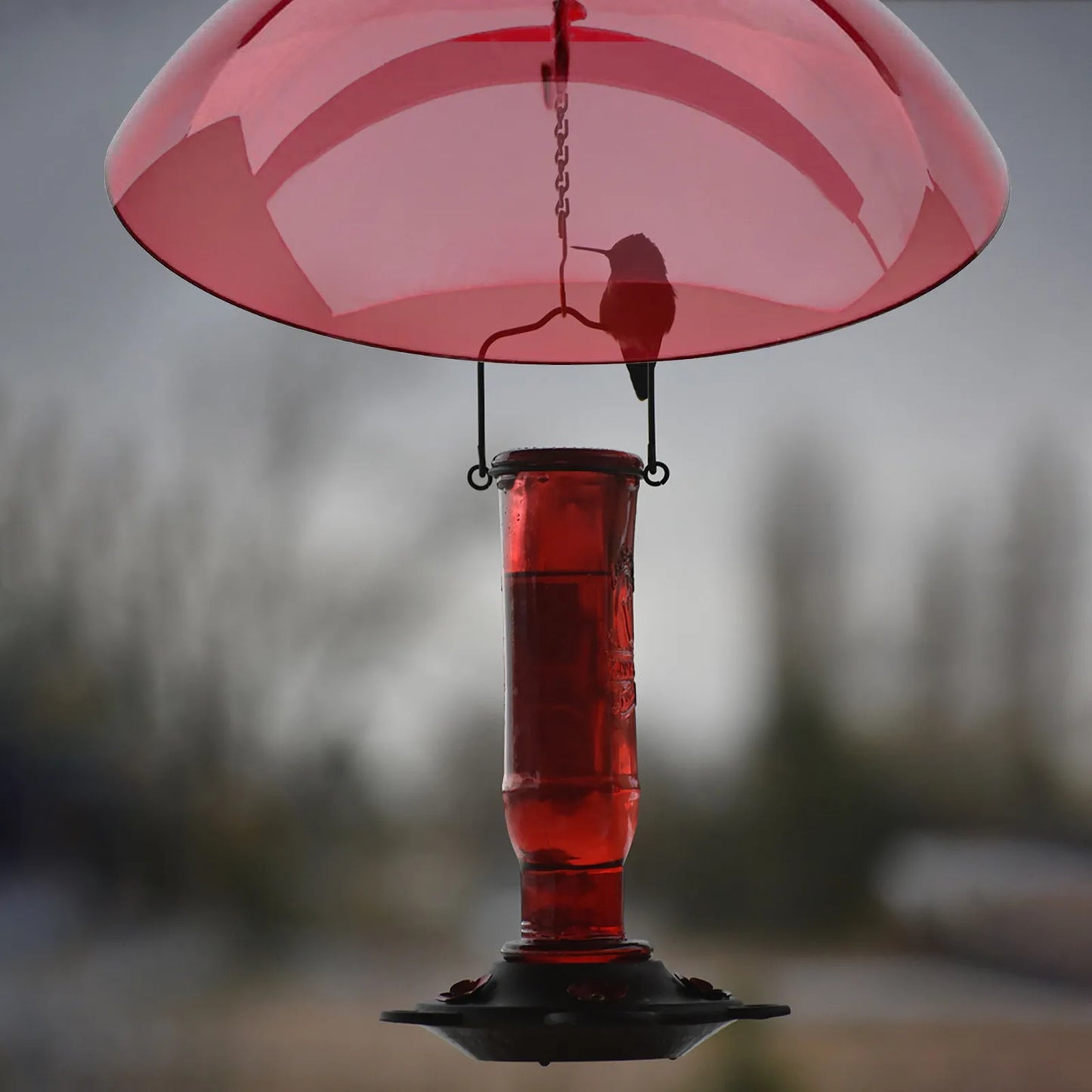 Bird Feeder Clear Protective Cover Dome Anti-squirrel Rain-proof Hanging Hummingbird Rain Cover Guard Baffle With Hooks Home