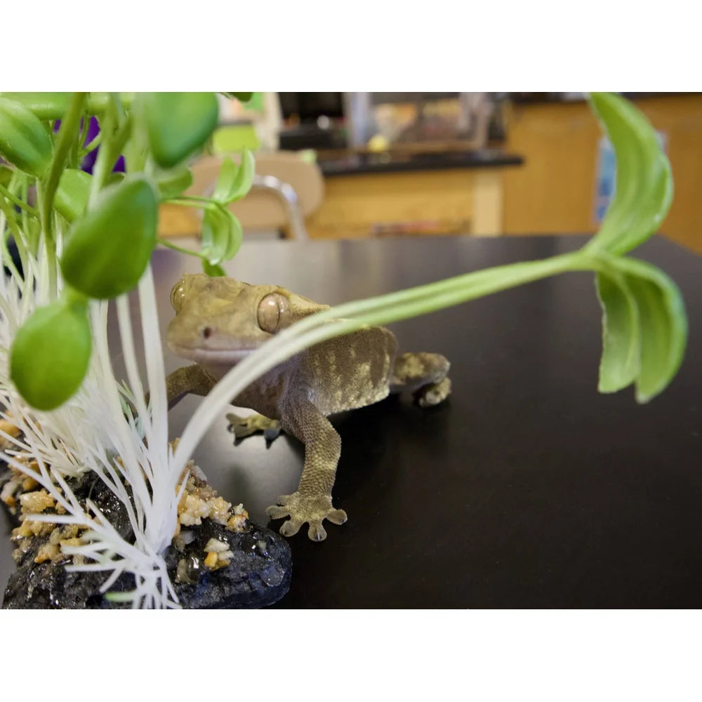 Nontoxic Artificial Aquarium Plant With Weighted Base