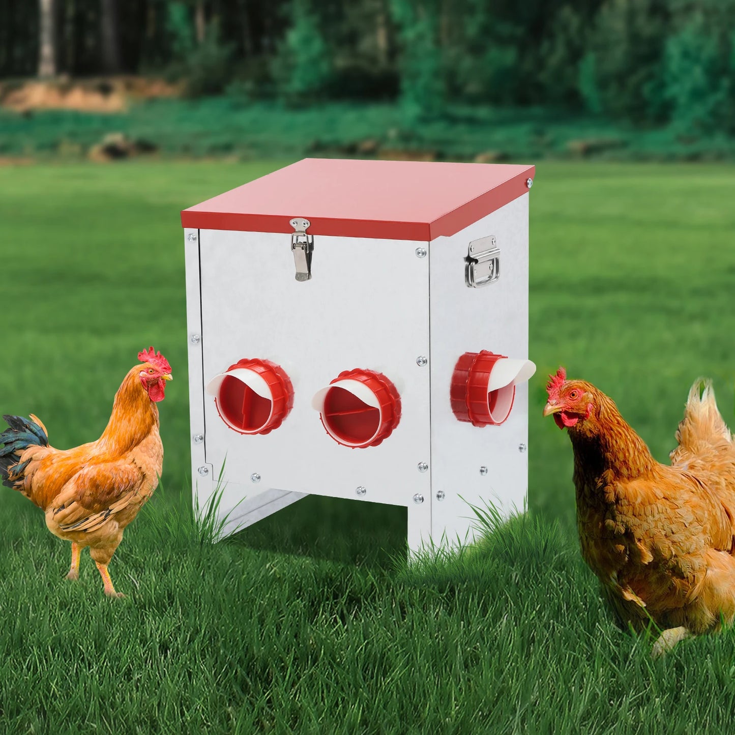 Chicken Feeder Large Capacity Chicken Feeder 6-Hole Feeder