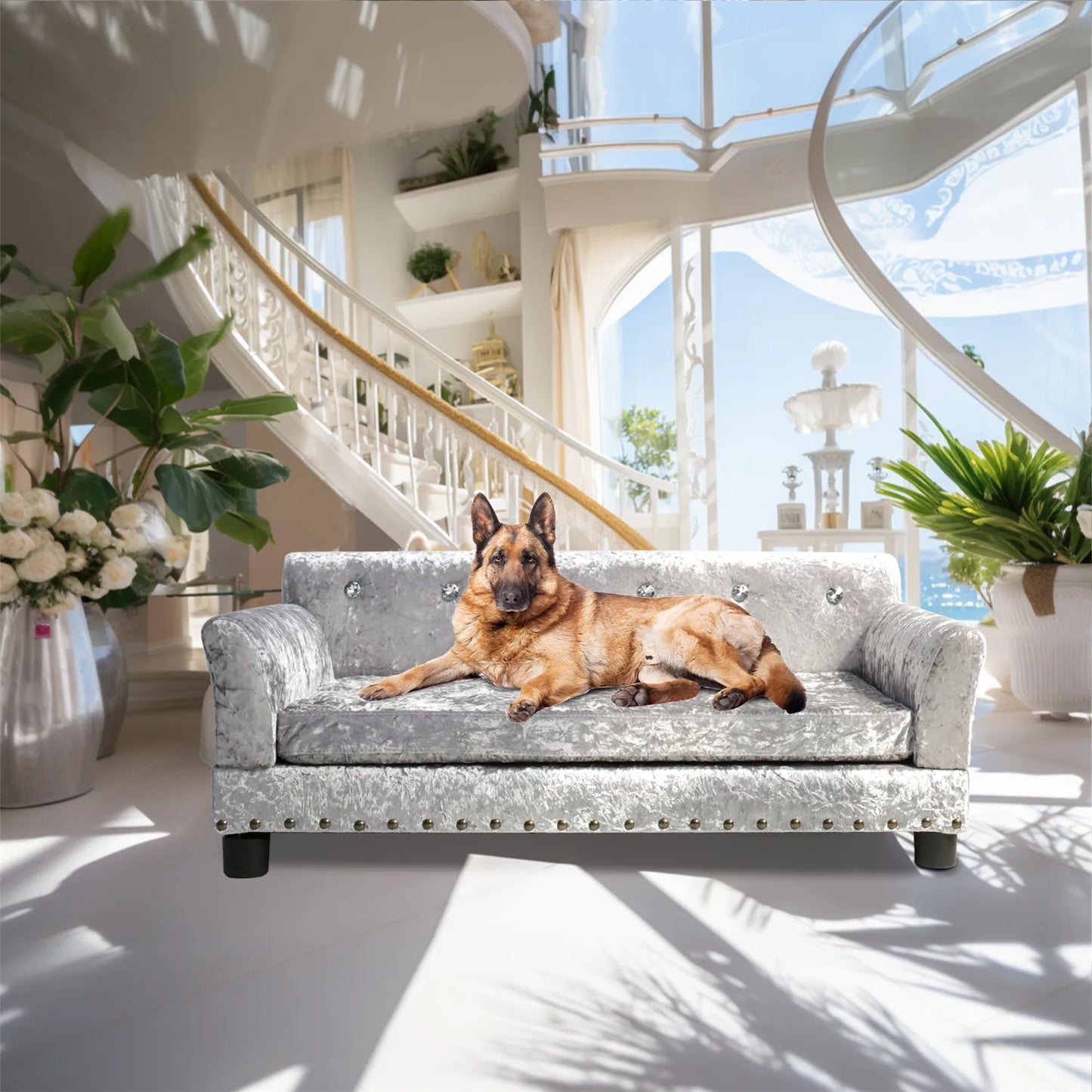 BingoPaw Large Dog Sofa Bed Deluxe Tufted Elevated Couch