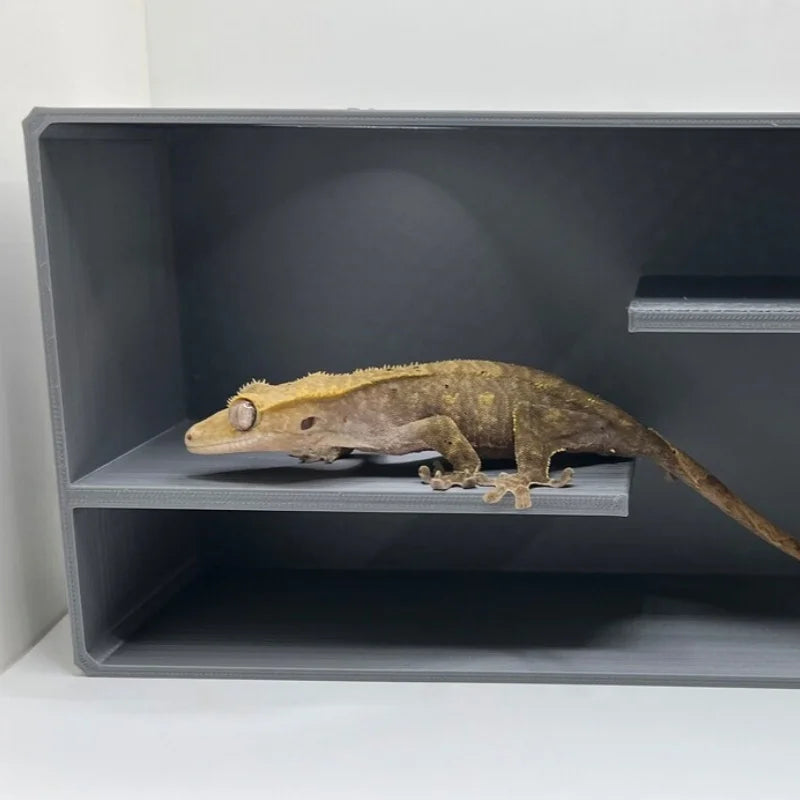 Double layered hide and seek reptile amusement park glass box decoration