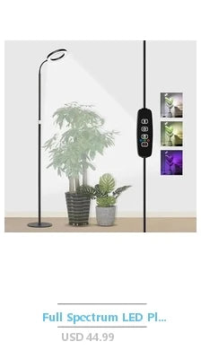 Reptile Terrarium Enclosure Kit Micro Habitats Acrylic Tank with Locking Latch Ventilation Design 4x4x8 Inch Easy Assembly 360