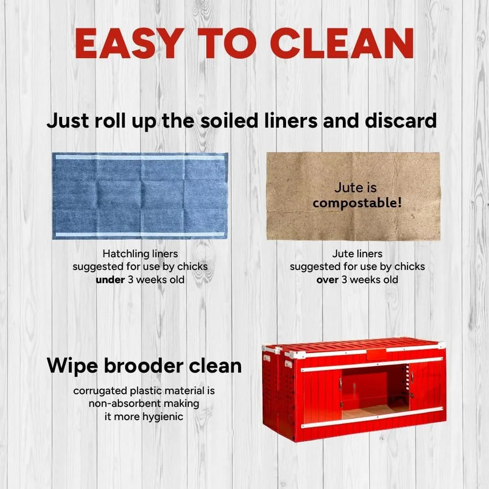 Big Red Barn Chick Brooder Set with Heating Plate Anti-Roost Cone Two Chick Feeders Two Chick Drinkers Swing Hatchling