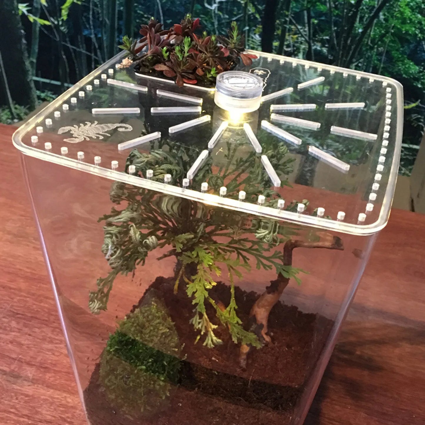 Acrylic Reptile Terrarium Cage For Gecko Lizard Habitat