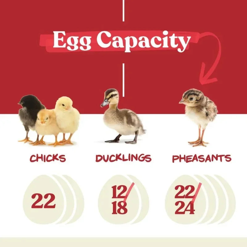 Good Holds 12-22 Eggs Automatic Turner Temperature and Humidity Egg Incubator for Hatching Chicks