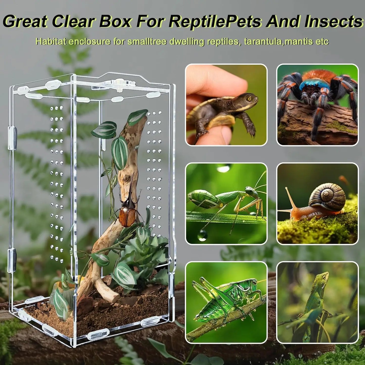 Acrylic Reptile Terrarium Habitat Bearded Dragon Enclosure