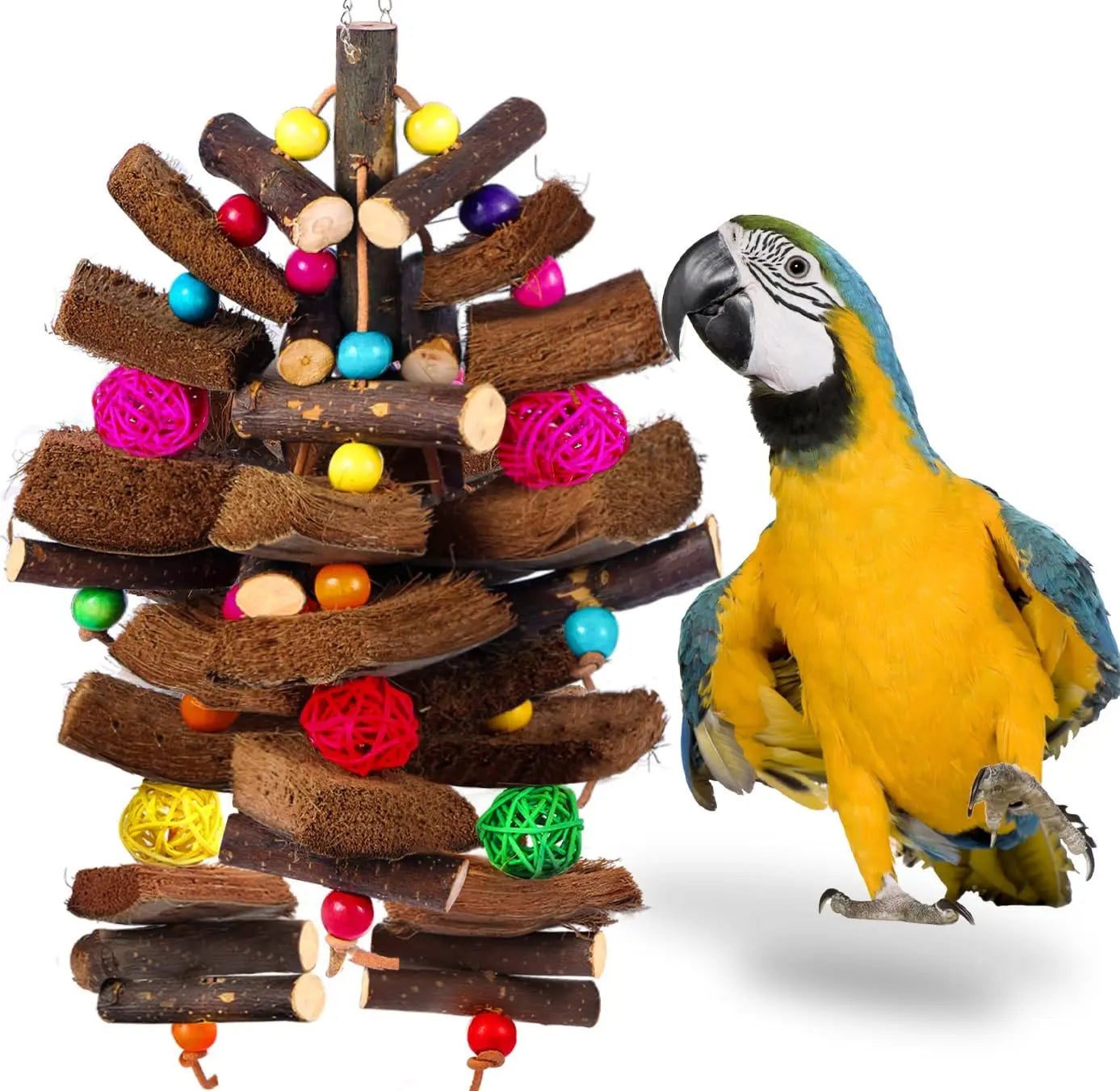 Natural Coconut Shell Bird Toys for Small Medium Birds