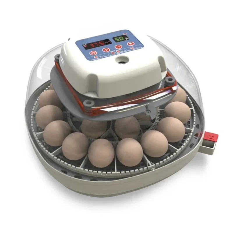 Good Holds 12-22 Eggs Automatic Turner Temperature and Humidity Egg Incubator for Hatching Chicks