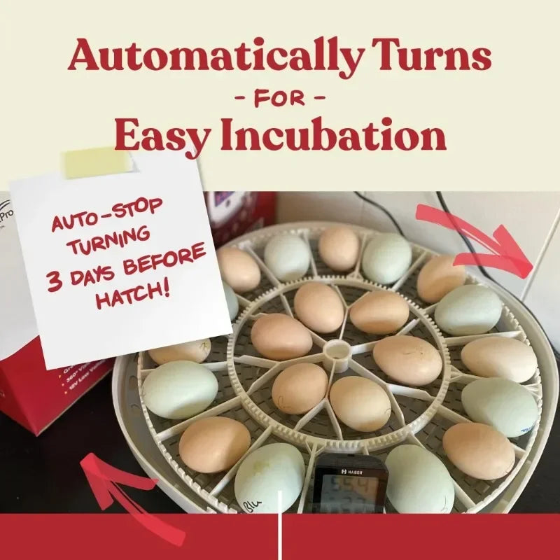 Good Holds 12-22 Eggs Automatic Turner Temperature and Humidity Egg Incubator for Hatching Chicks
