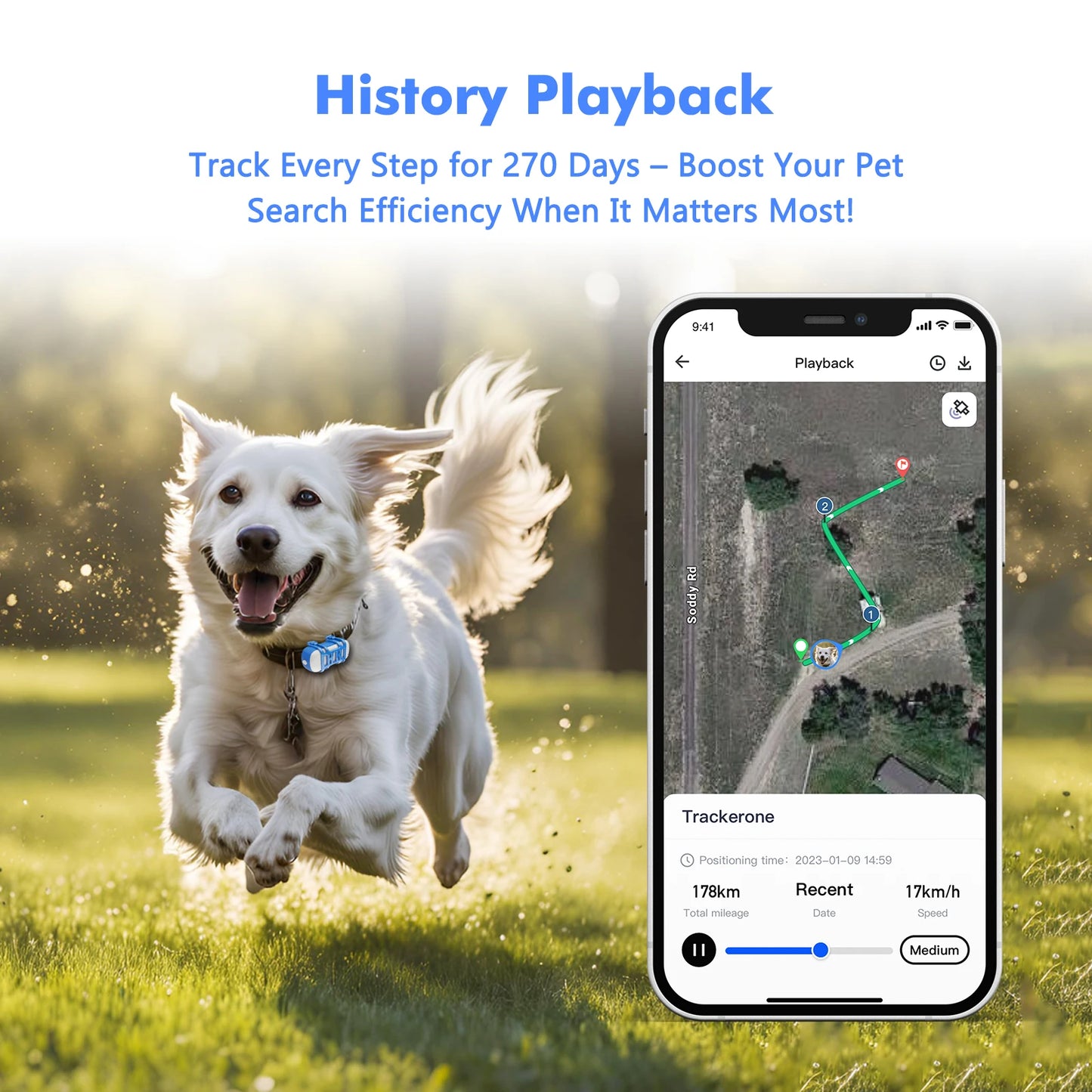 4G Dog Cat GPS Tracker for Pets - Waterproof Smart Locator