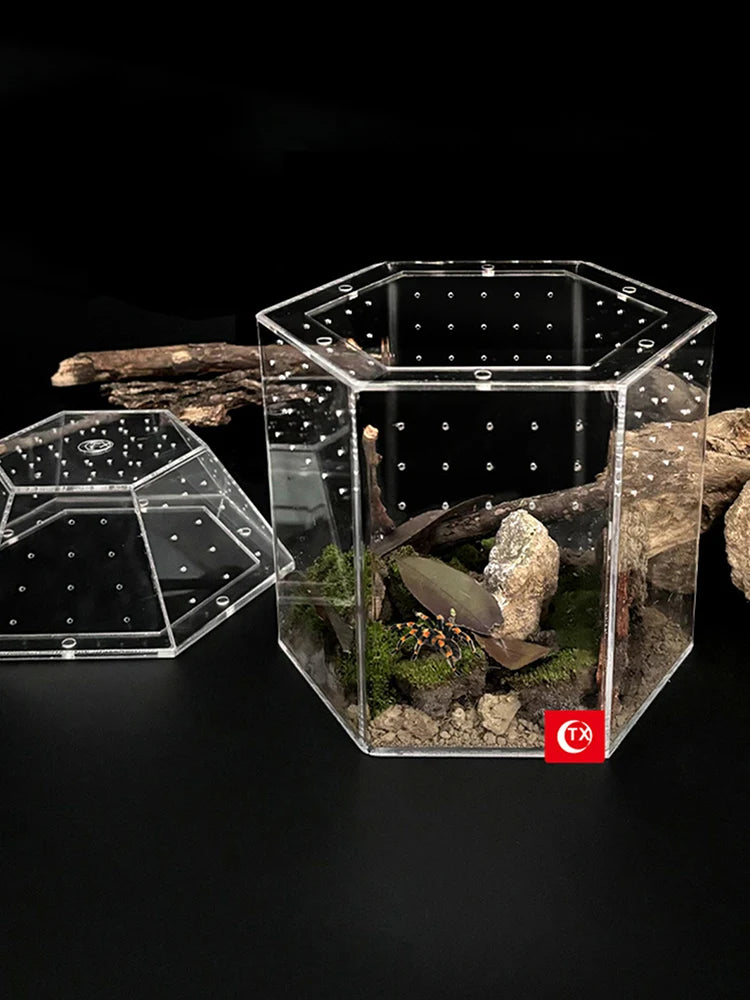 Acrylic Jumping Spider Enclosure Ventilated Breeding Box 7.09 x 6.3 x 8.66 in