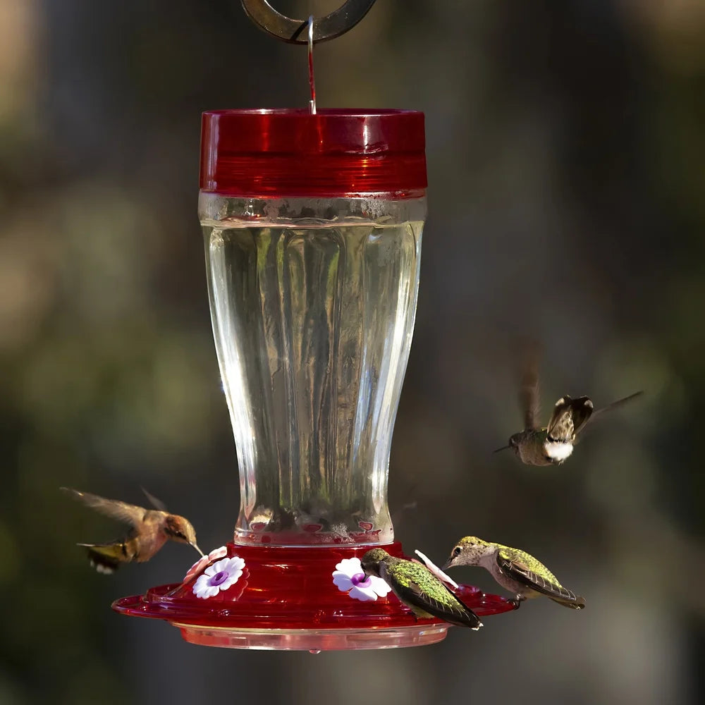 Hummingbird Feeder with Bee Guard Ports Ant Moat Glass Nectar Bottle Easy Fill Clean 40oz Capacity Hanging Bird Feeder