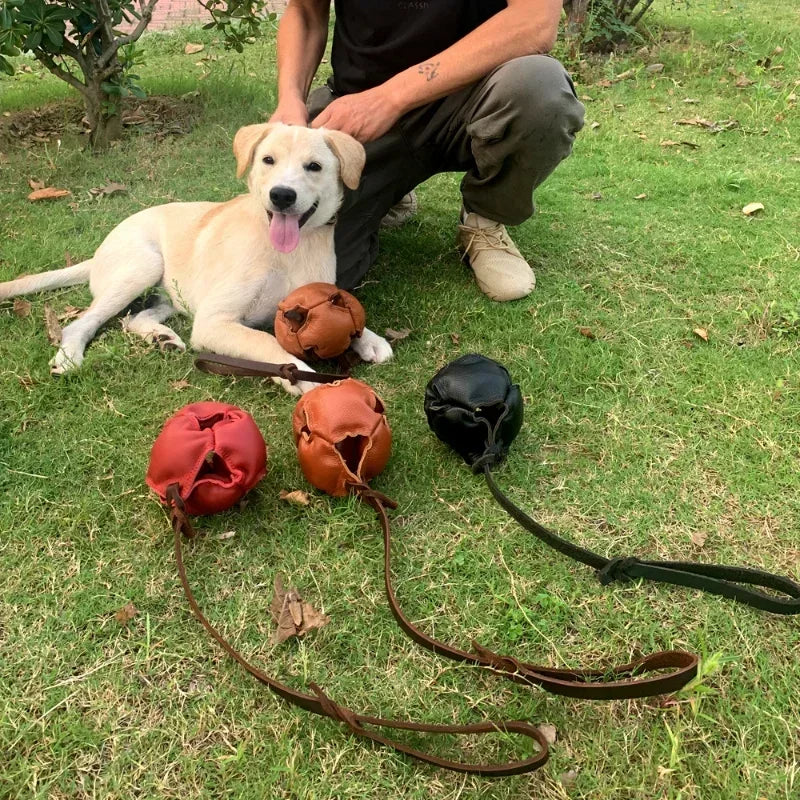 Leather Dog Training Ball Toy with Handle Soft Puppy Reward Fetch Catch Tug Toy