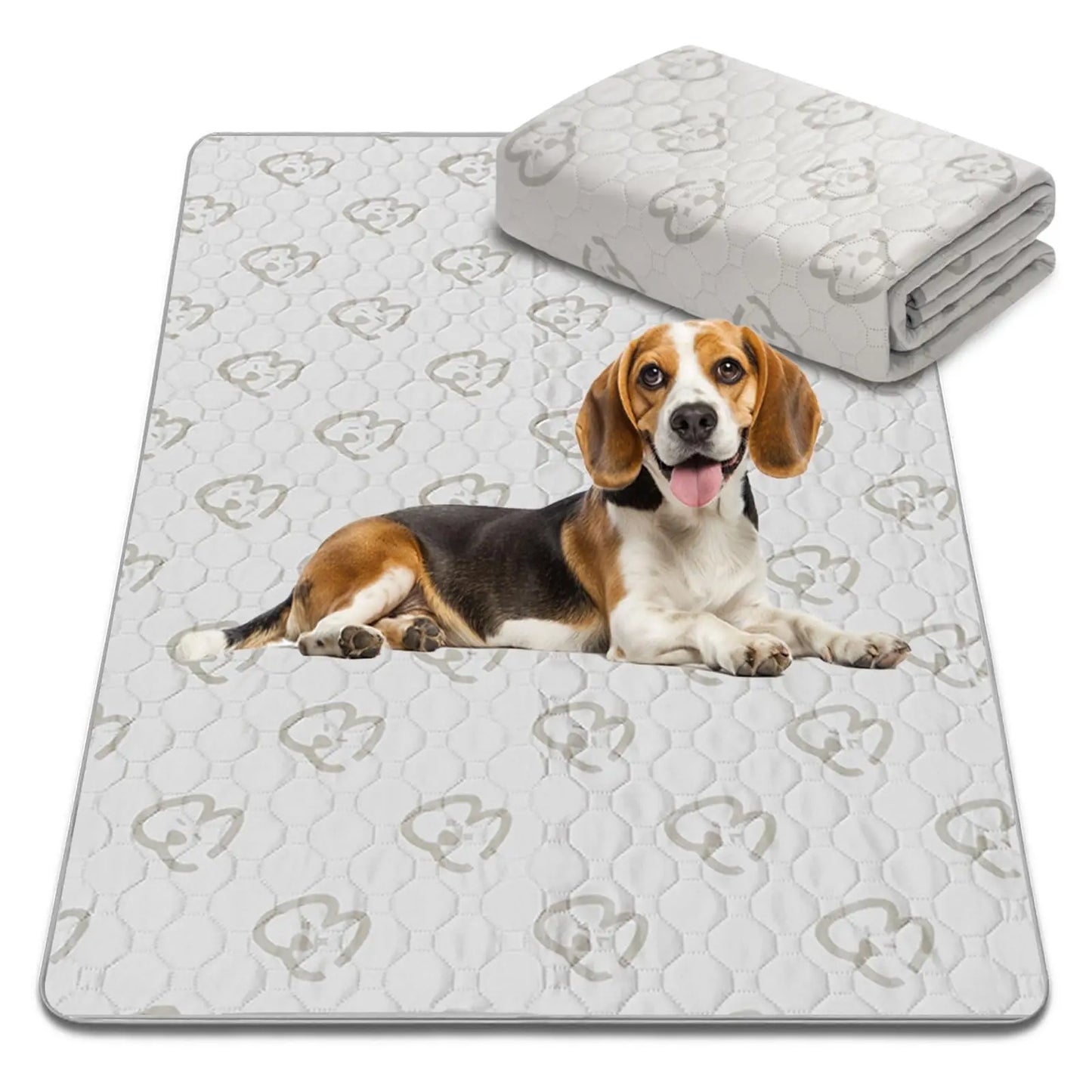 FXW Washable Dog Pee Pads Super Absorbent Puppy Training Pads for Crate Sofa and Bed