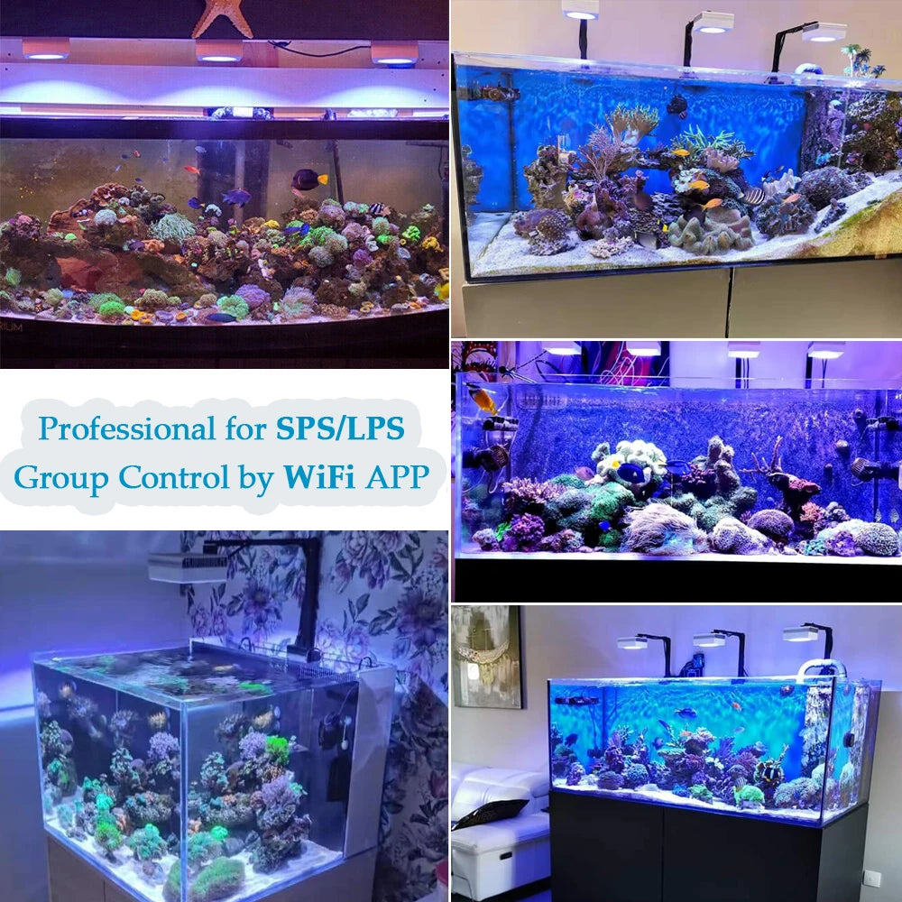 PopBloom RL90 WiFi Aquarium LED Lighting 100W Coral Reef Grow Light for Saltwater SPS LPS Marine Fish Tank