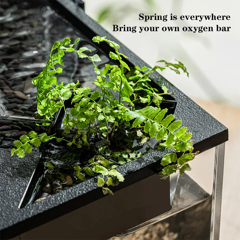 Rectangular Acrylic Aquarium Tank With Built In Light Pump