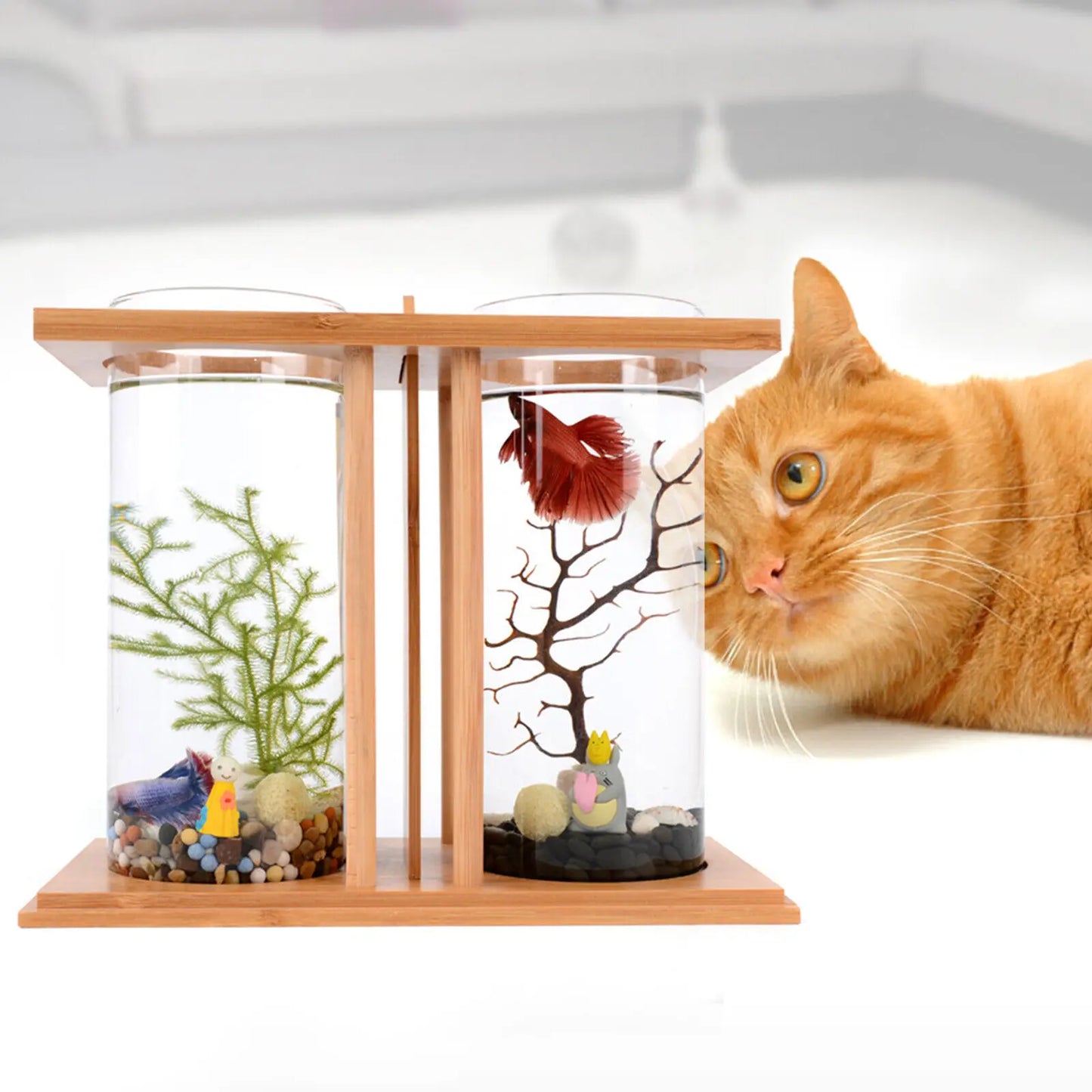 Glass Betta Fish Tank with Bamboo Base Mini Aquarium for Desktop Use