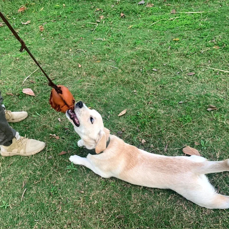 Leather Dog Training Ball Toy with Handle Soft Puppy Reward Fetch Catch Tug Toy