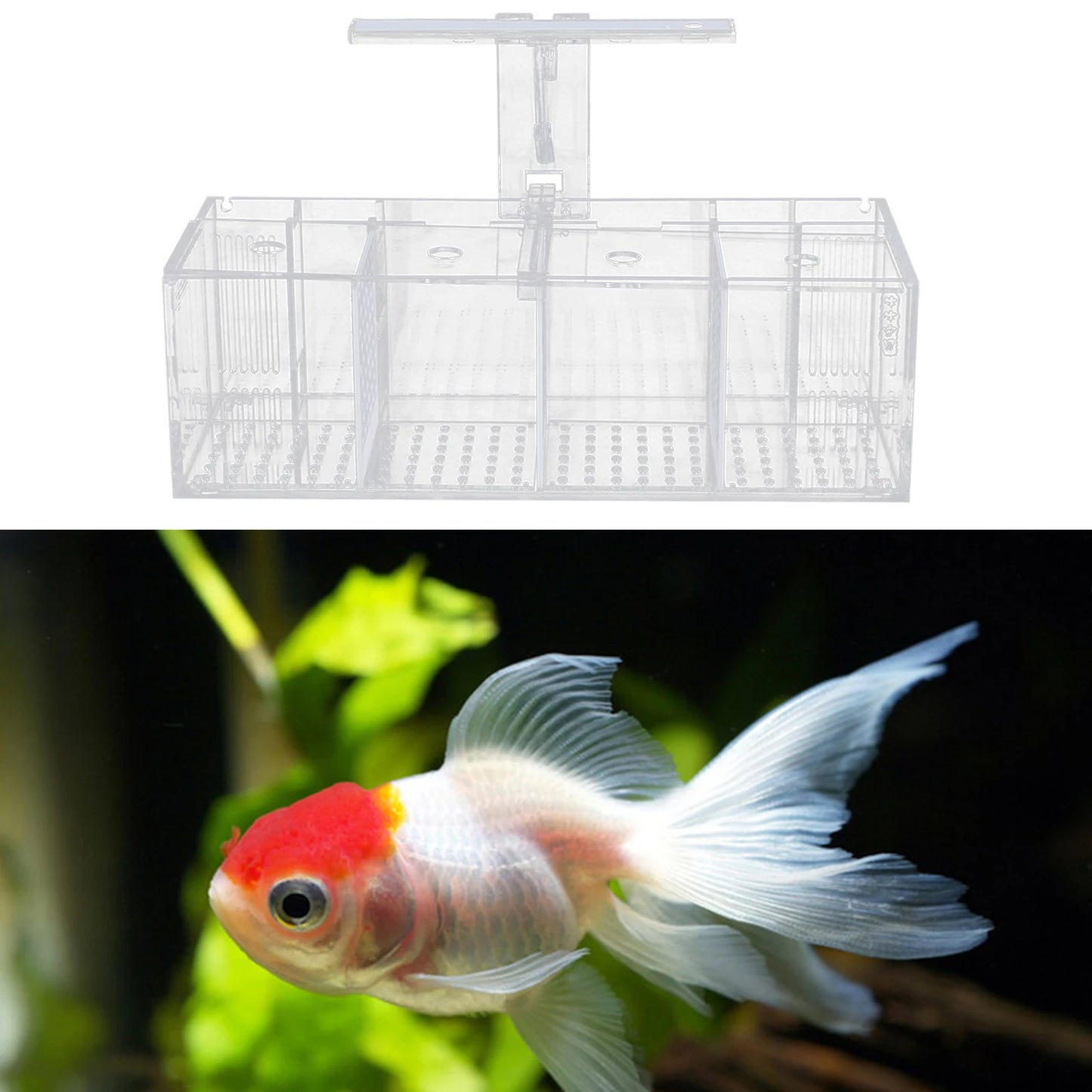 4 Grid Acrylic Fish Tank with LED Light 2.5W Low Power IPX8 Waterproof Tabletop Aquarium for Fighting Fish Shrimp and More