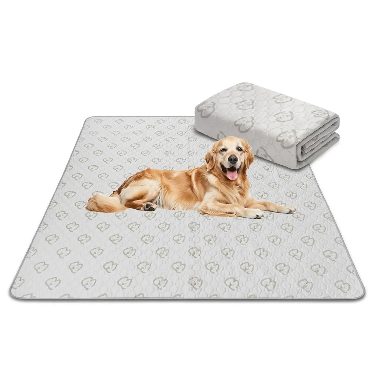 FXW Washable Dog Pee Pads Super Absorbent Puppy Training Pads for Crate Sofa and Bed