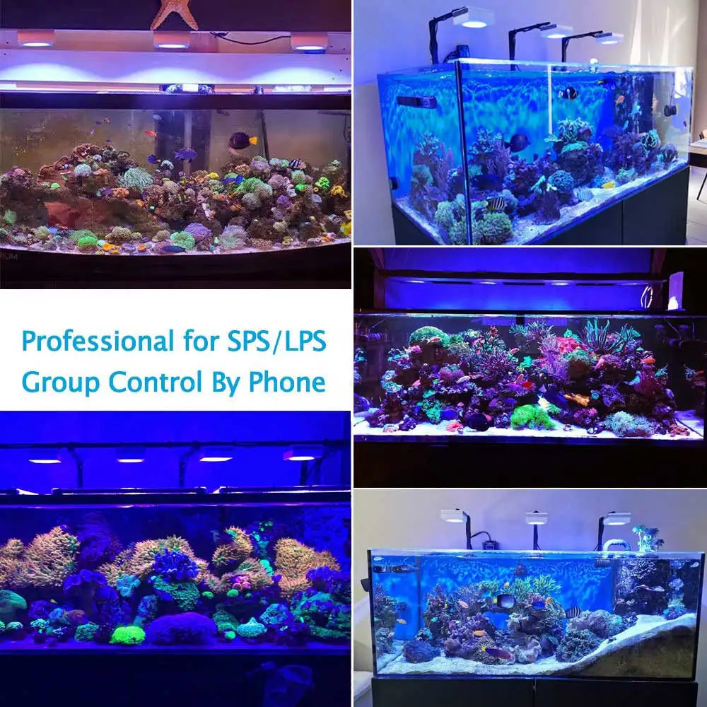 New PopBloom RL90 WiFi LED Aquarium Light Full Spectrum Reef Light for Saltwater Coral Growth in Marine Aquarium Tank