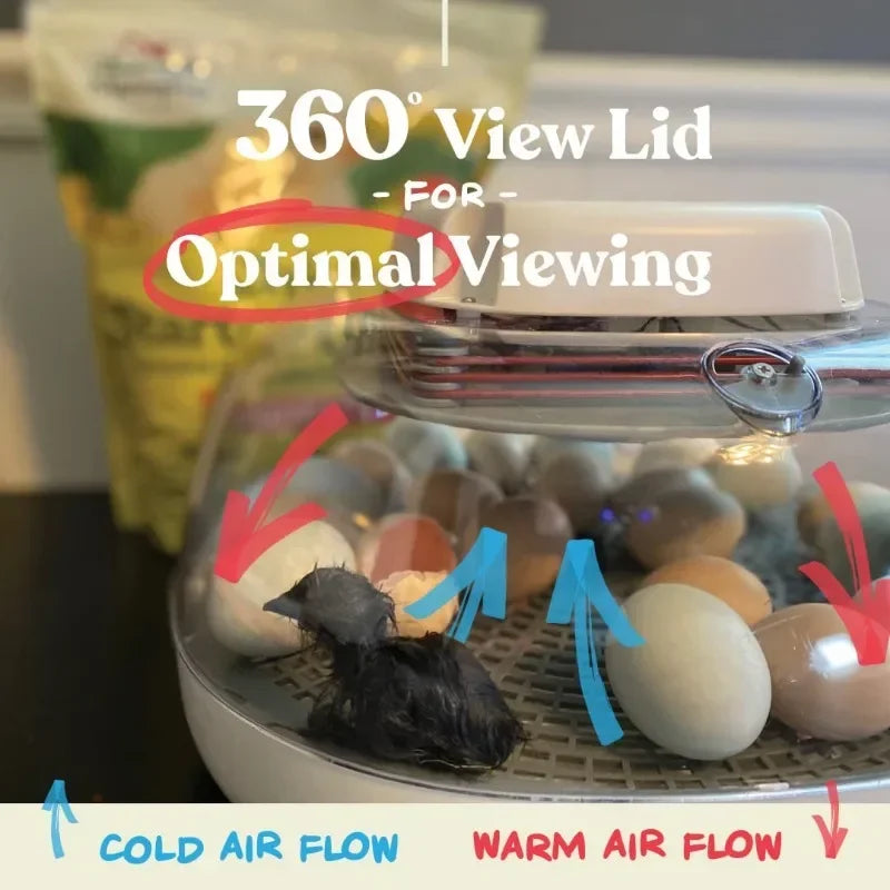 Good Holds 12-22 Eggs Automatic Turner Temperature and Humidity Egg Incubator for Hatching Chicks