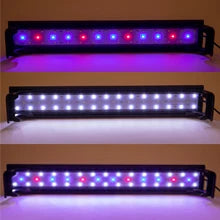 Fish Tank 8 Gallon LED Glass Aquarium Kit for Starters