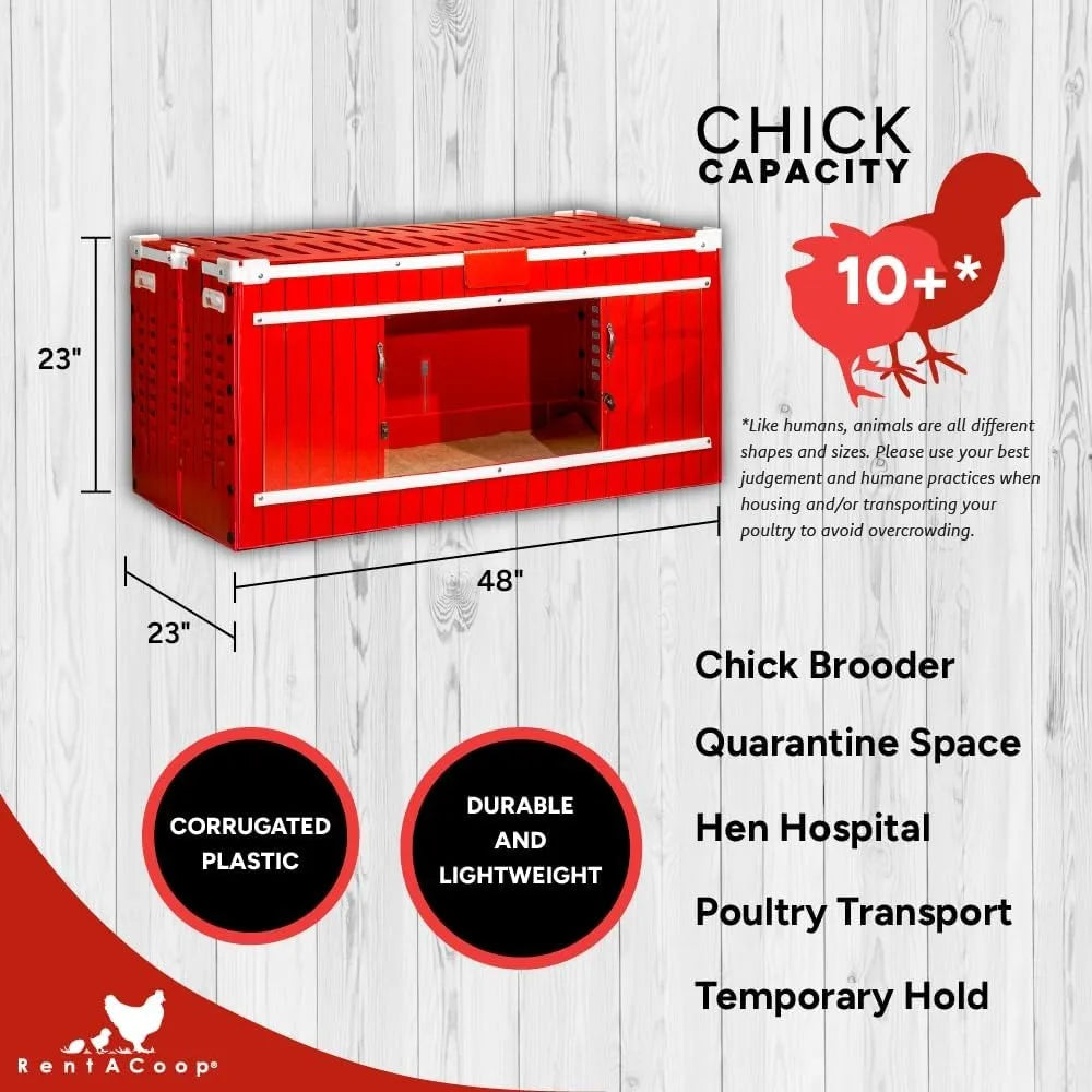Big Red Barn Chick Brooder Set with Heating Plate Anti-Roost Cone Two Chick Feeders Two Chick Drinkers Swing Hatchling