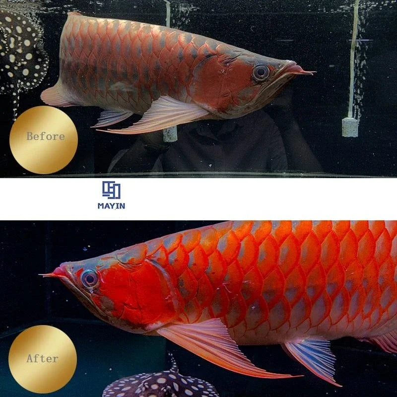 Mayin Red Arowana Brightening Lamp IP68 Waterproof Magic Light Dragon Fish Tank LED Aquarium Light