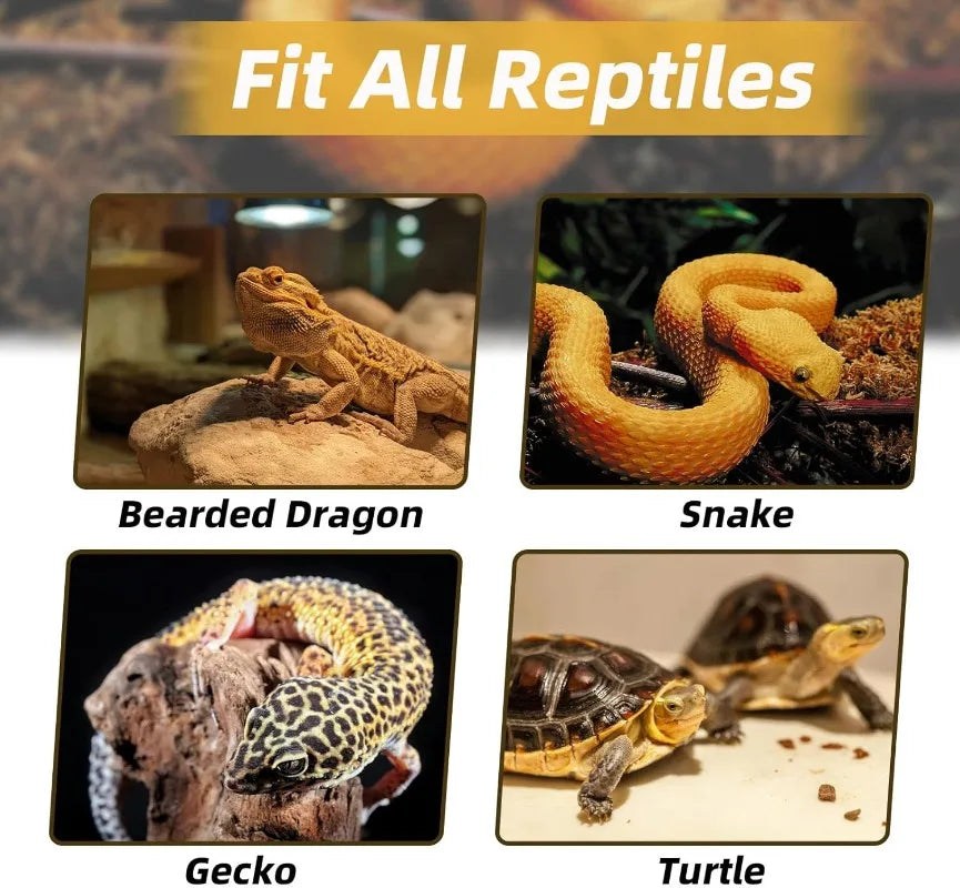Natural Resin Climbing Frame Reptile Vivarium Decoration