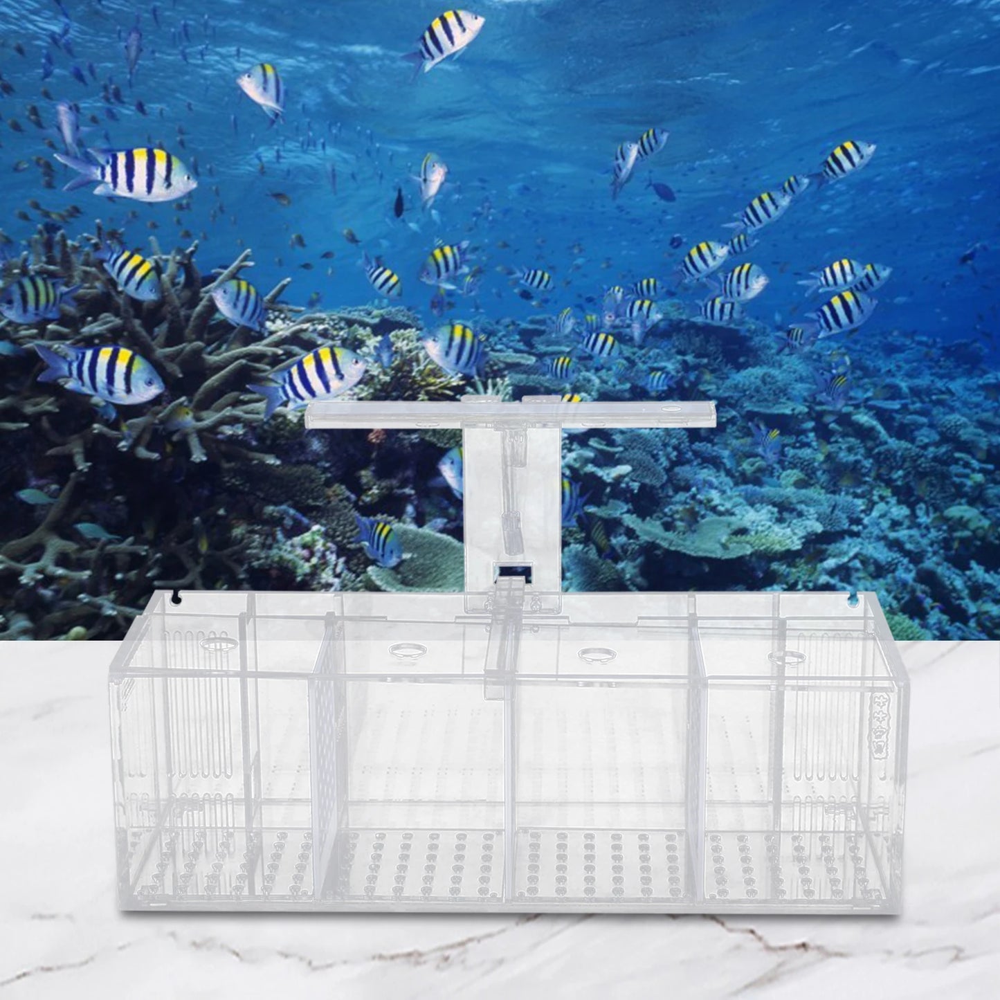 4 Grid Acrylic Fish Tank with LED Light 2.5W Low Power IPX8 Waterproof Tabletop Aquarium for Fighting Fish Shrimp and More
