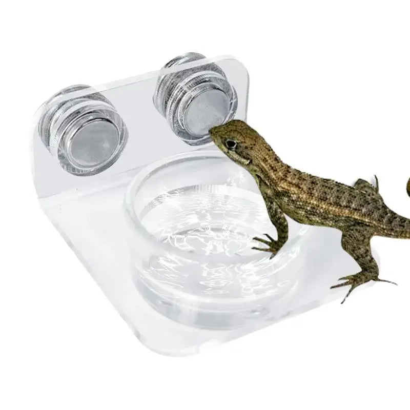 Magnetic Reptile Feeding Ledge Suction Cup Tray Geckos