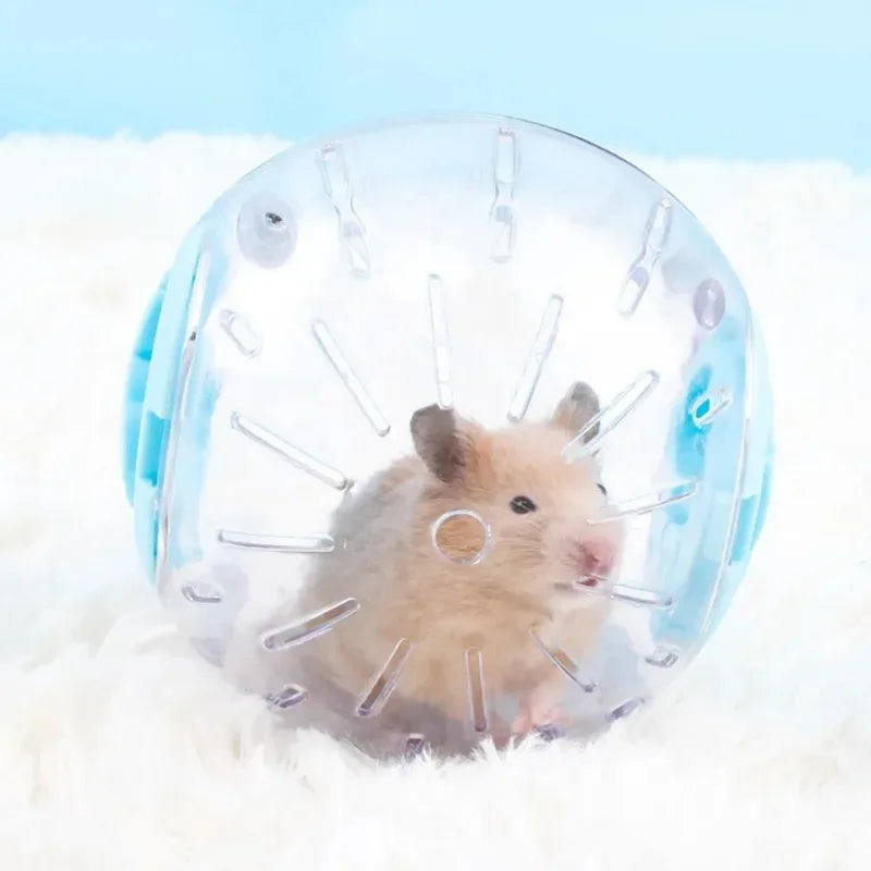 Plastic Outdoor Sport Ball for Small Pets Mice Hamster Gerbil Exercise Toy