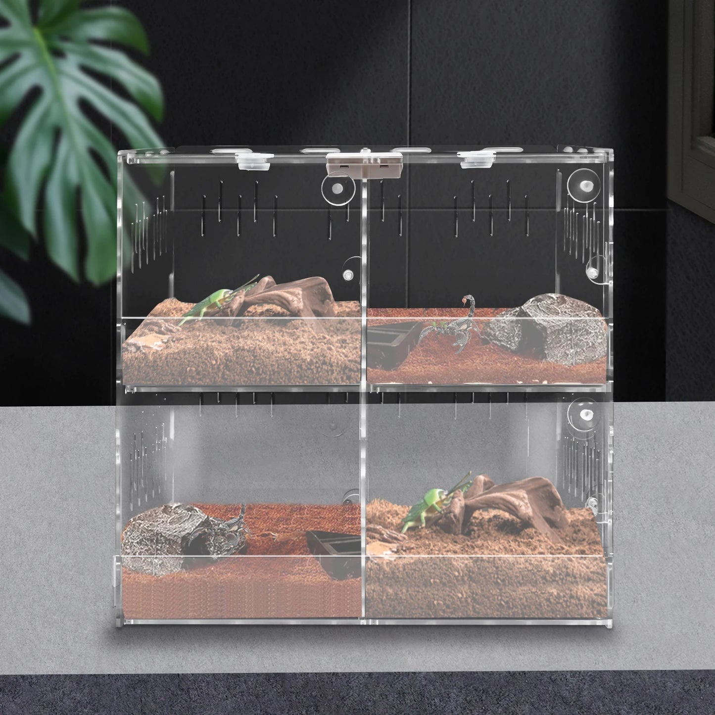 Acrylic Reptile Terrarium with 360 Degree View Secure Lock Ventilated Easy Clean and Install for Scorpions Spiders and Small Reptiles