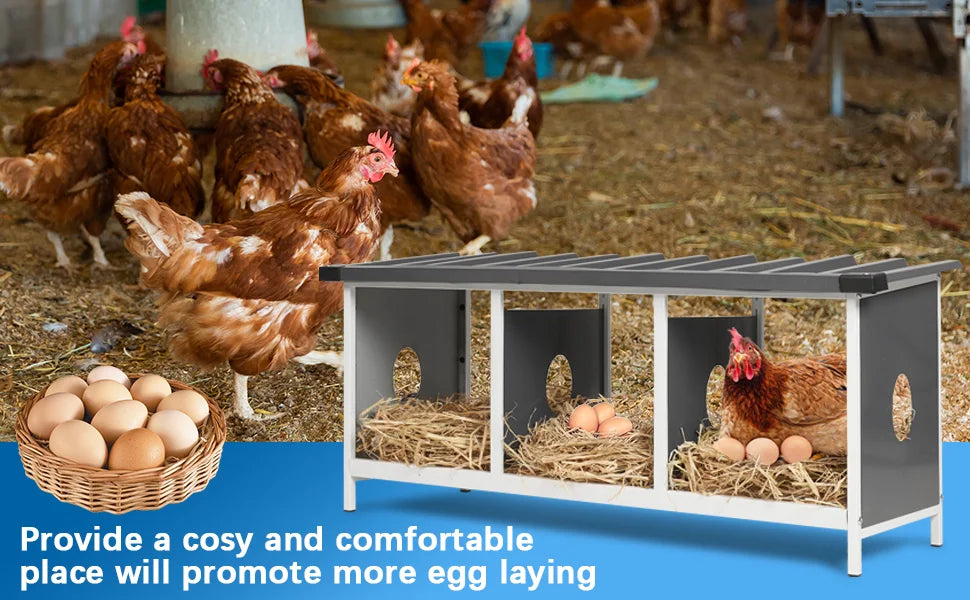 3 Compartments Nesting Box, 3 Rooms Metal Nesting Box Chickens Egg Laying Nest Boxes for Hens