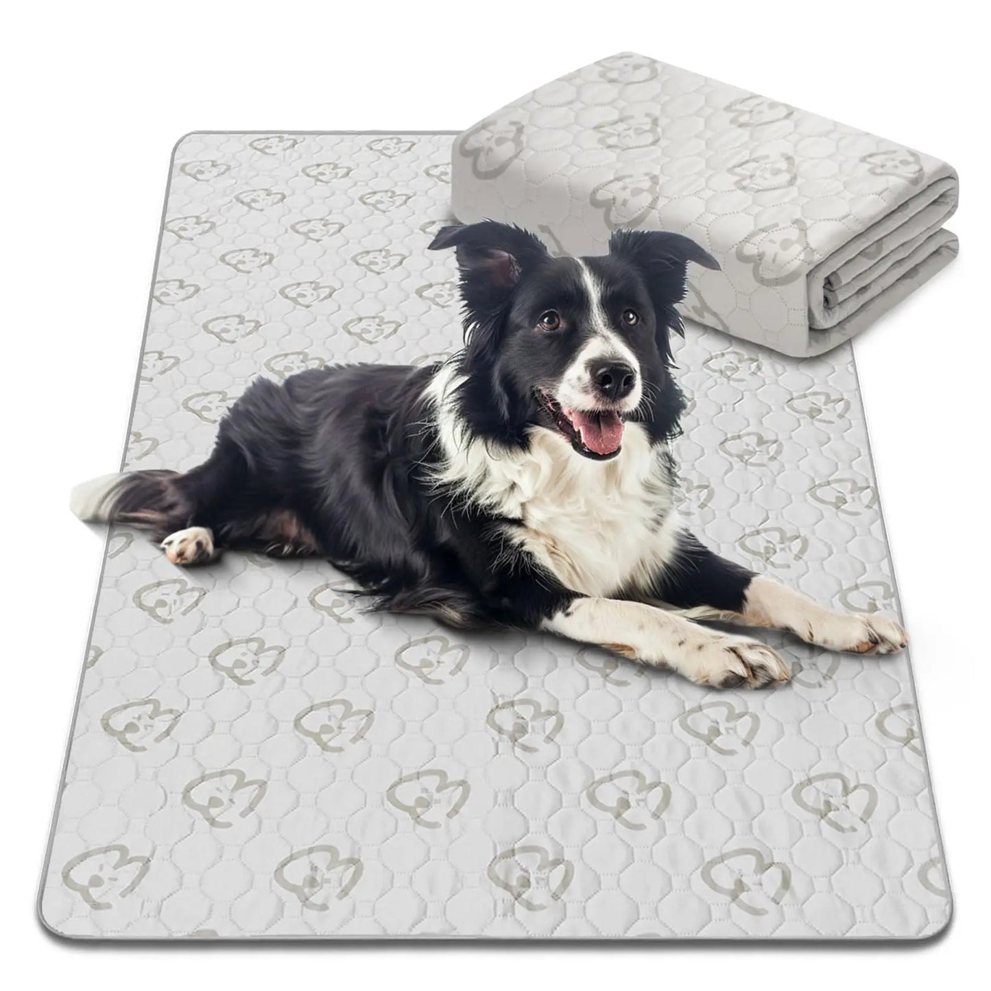 FXW Washable Dog Pee Pads Super Absorbent Puppy Training Pads for Crate Sofa and Bed